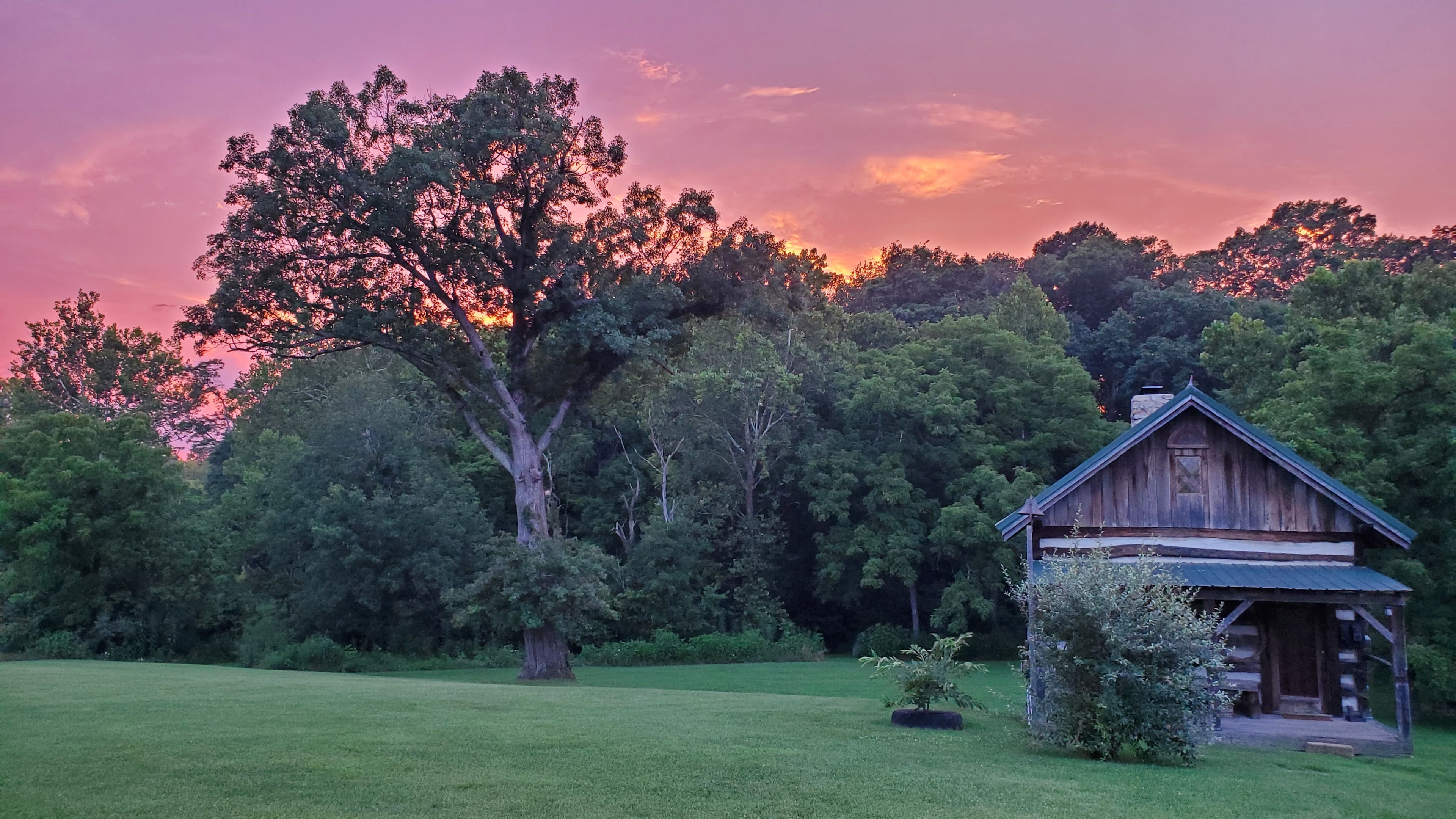Hills Fork Farm
