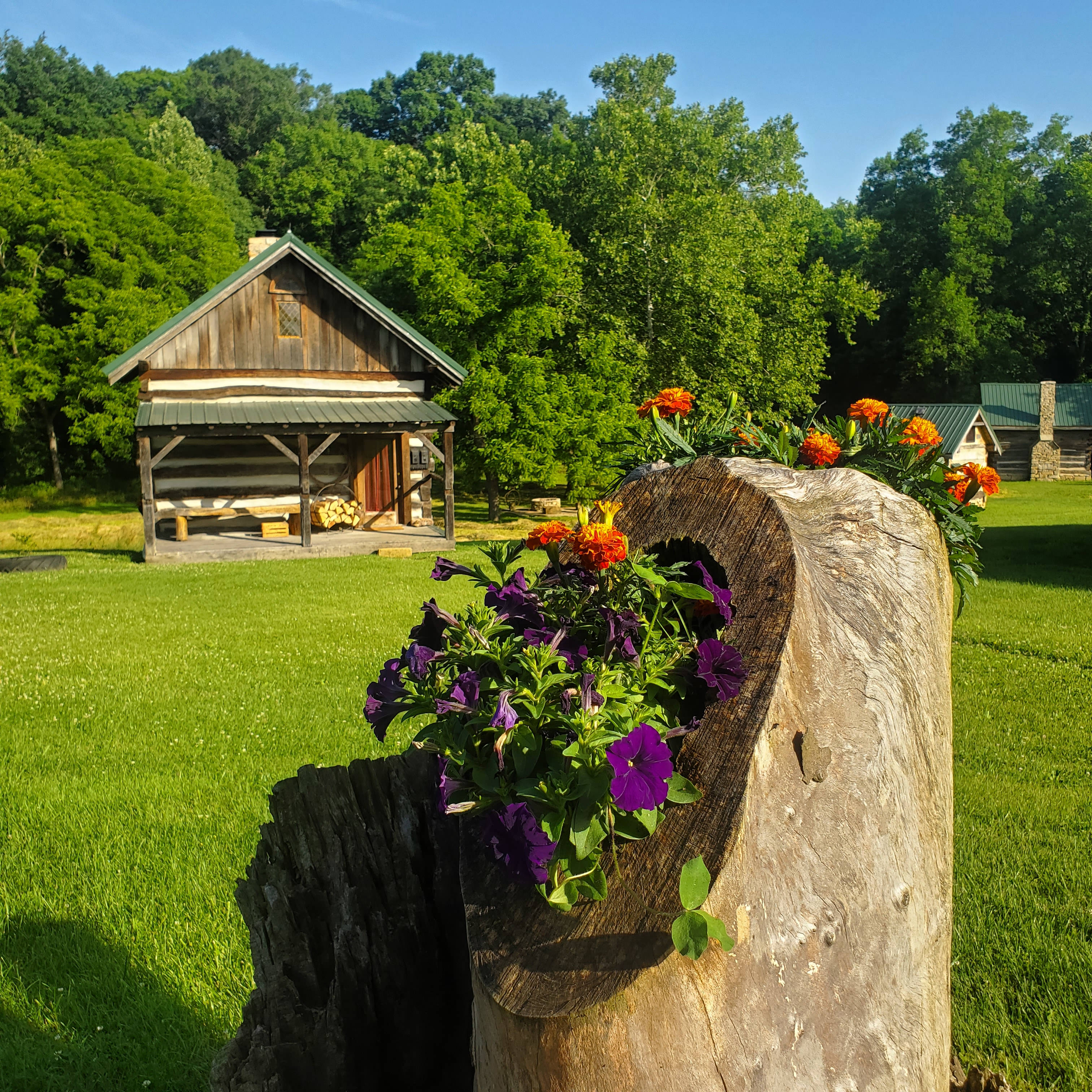 Hills Fork Farm