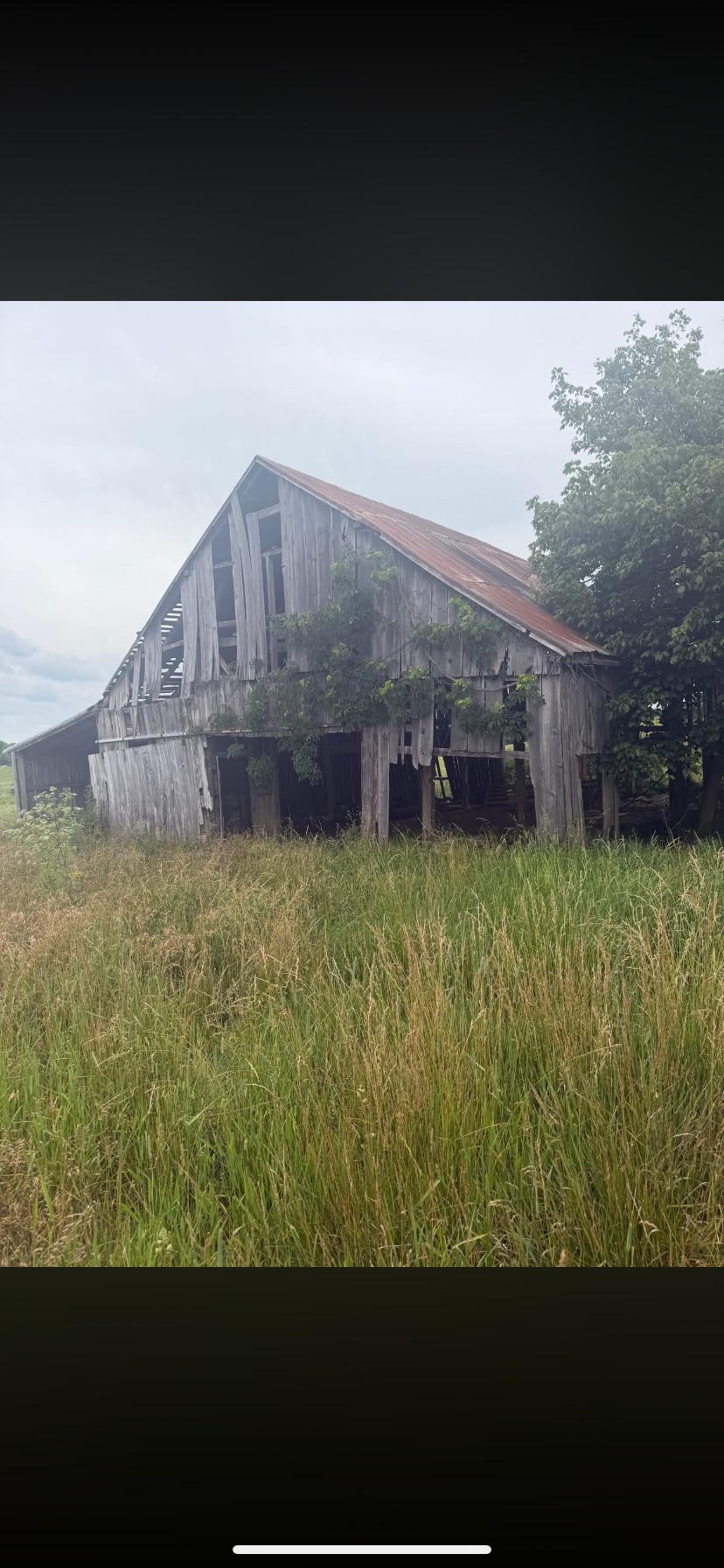 Walden‘s Pastures Retreat