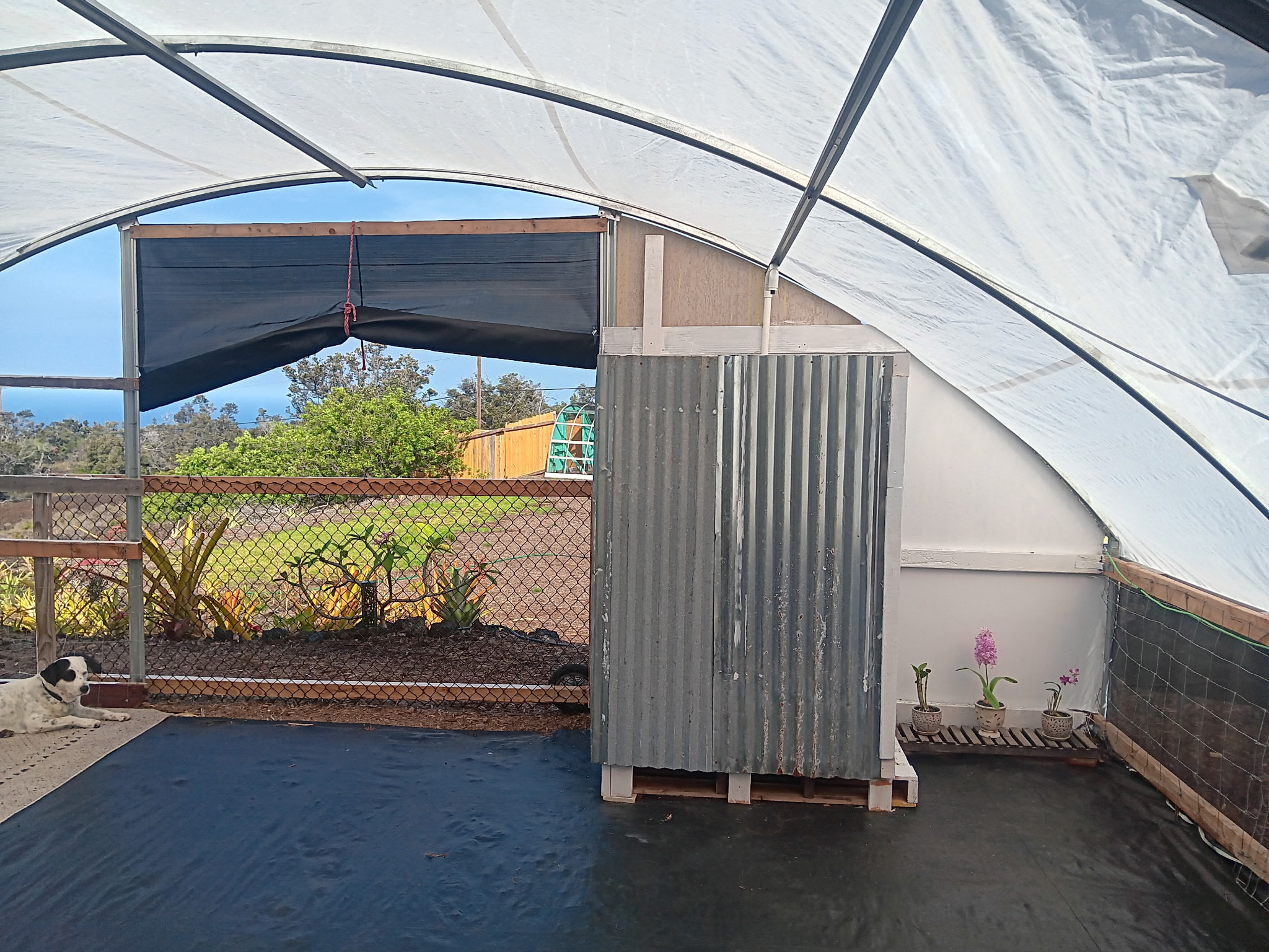 G. KAEO FARMS LLC