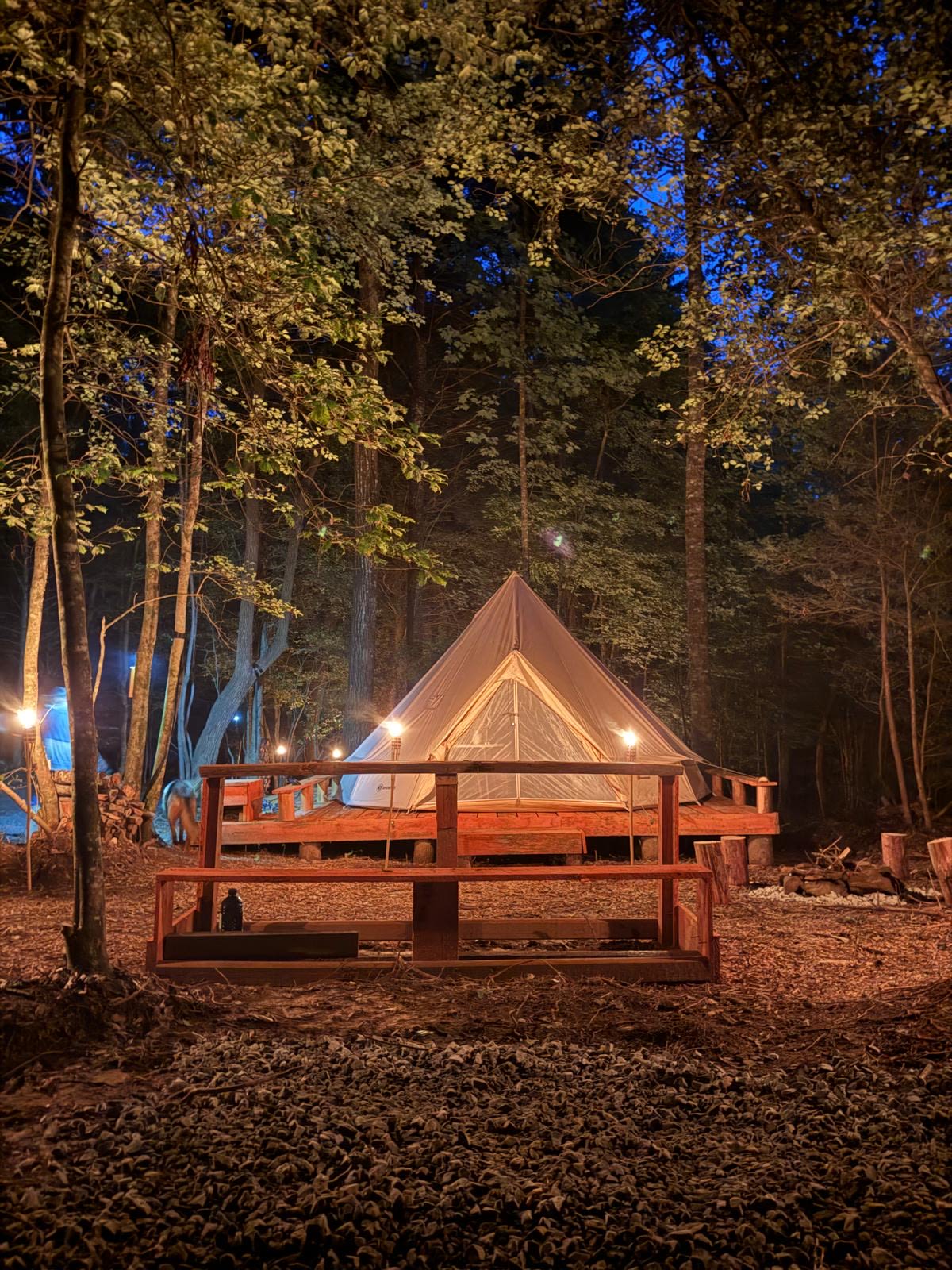 Salty Pines Hideaway