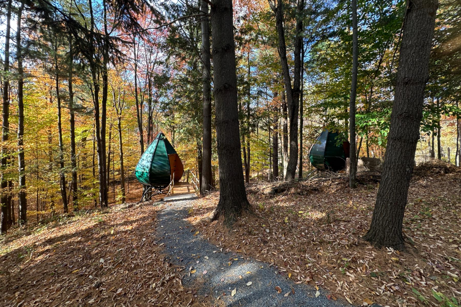 Air Drops hanging forest shelters