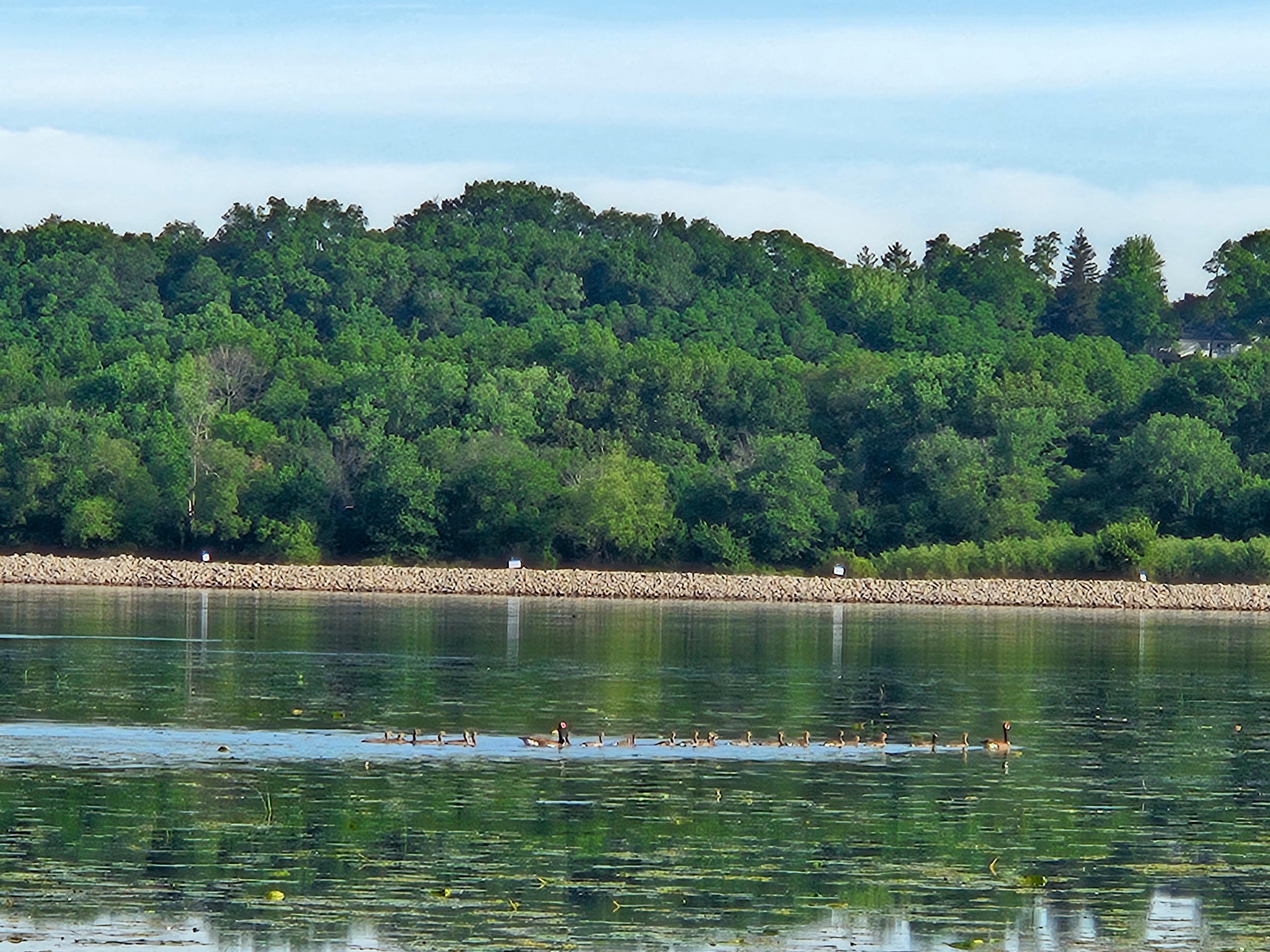 Fishermans Corner Campground
