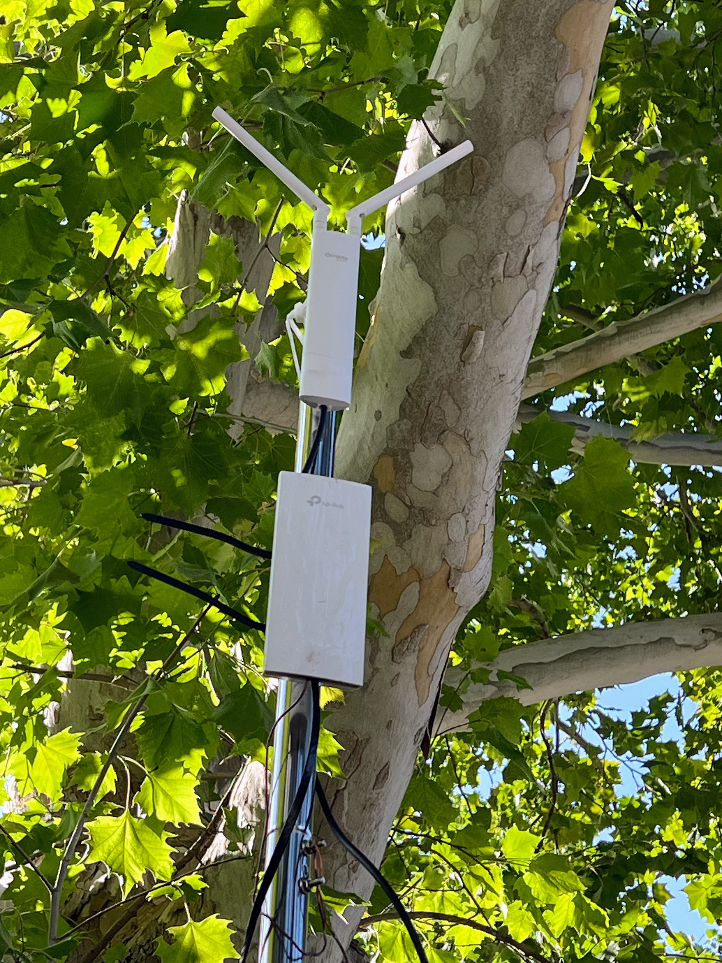 The wireless access points stand tall and erect. 