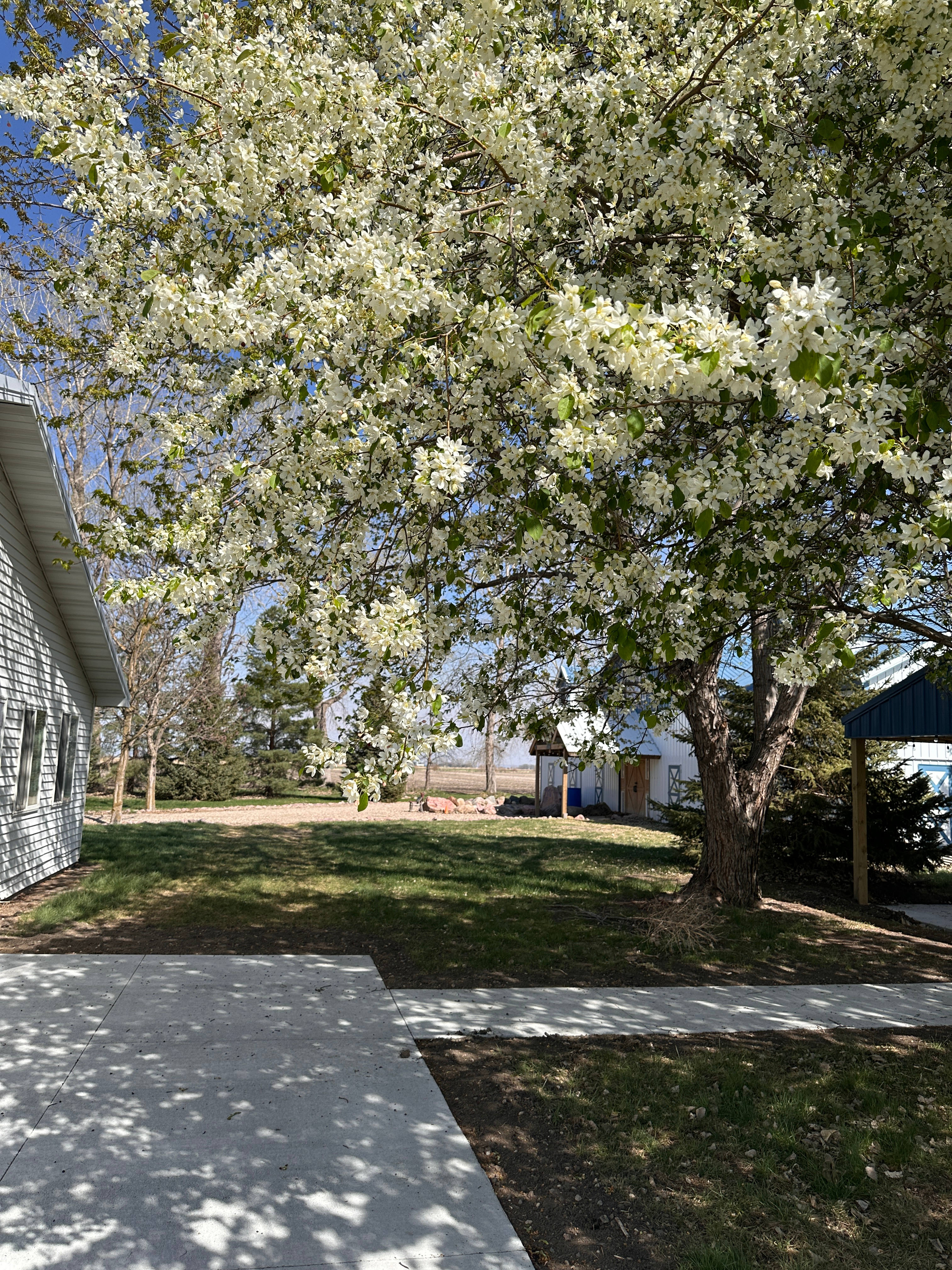 Springtime!
