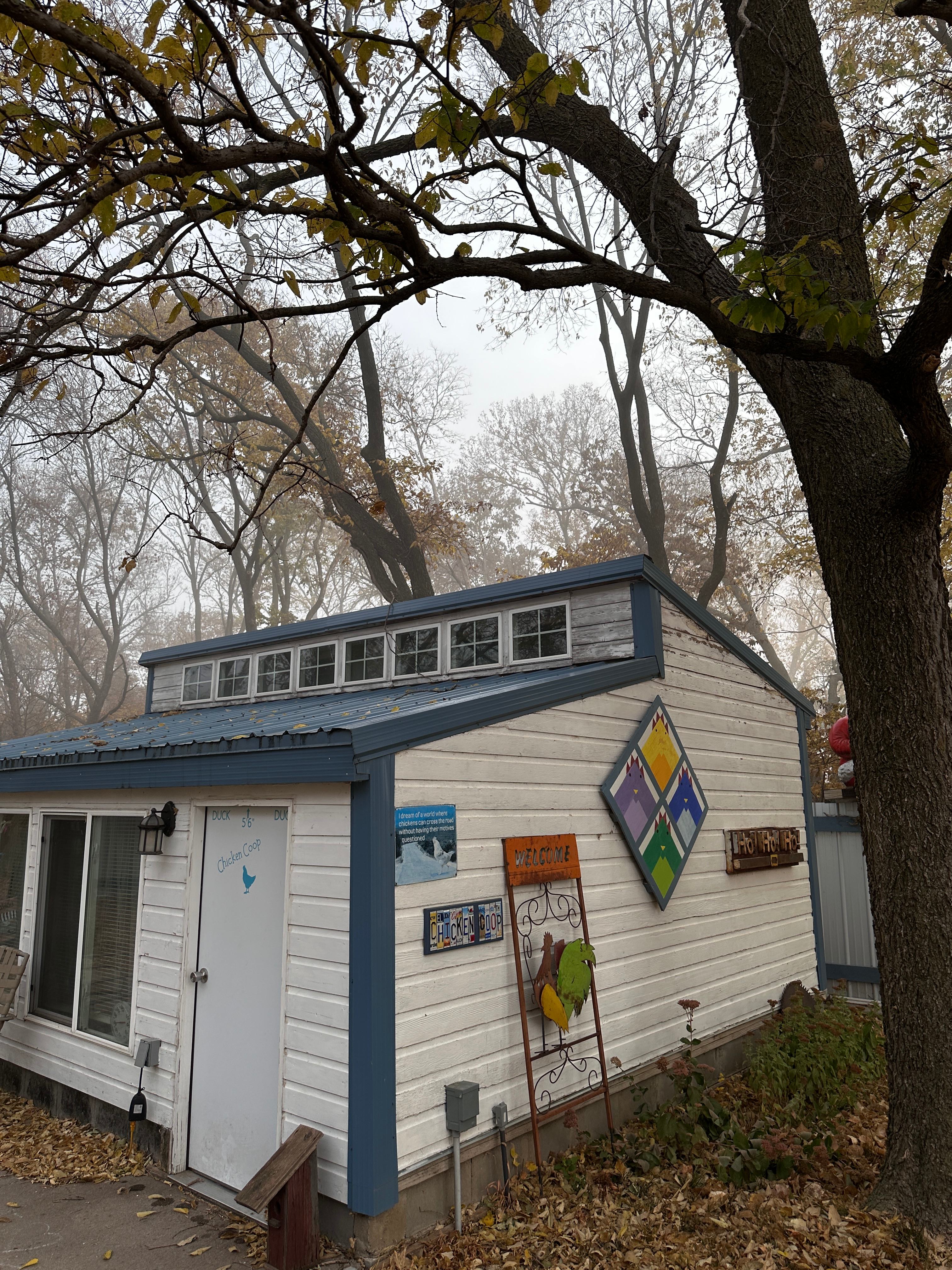 Blue Tin Ranch