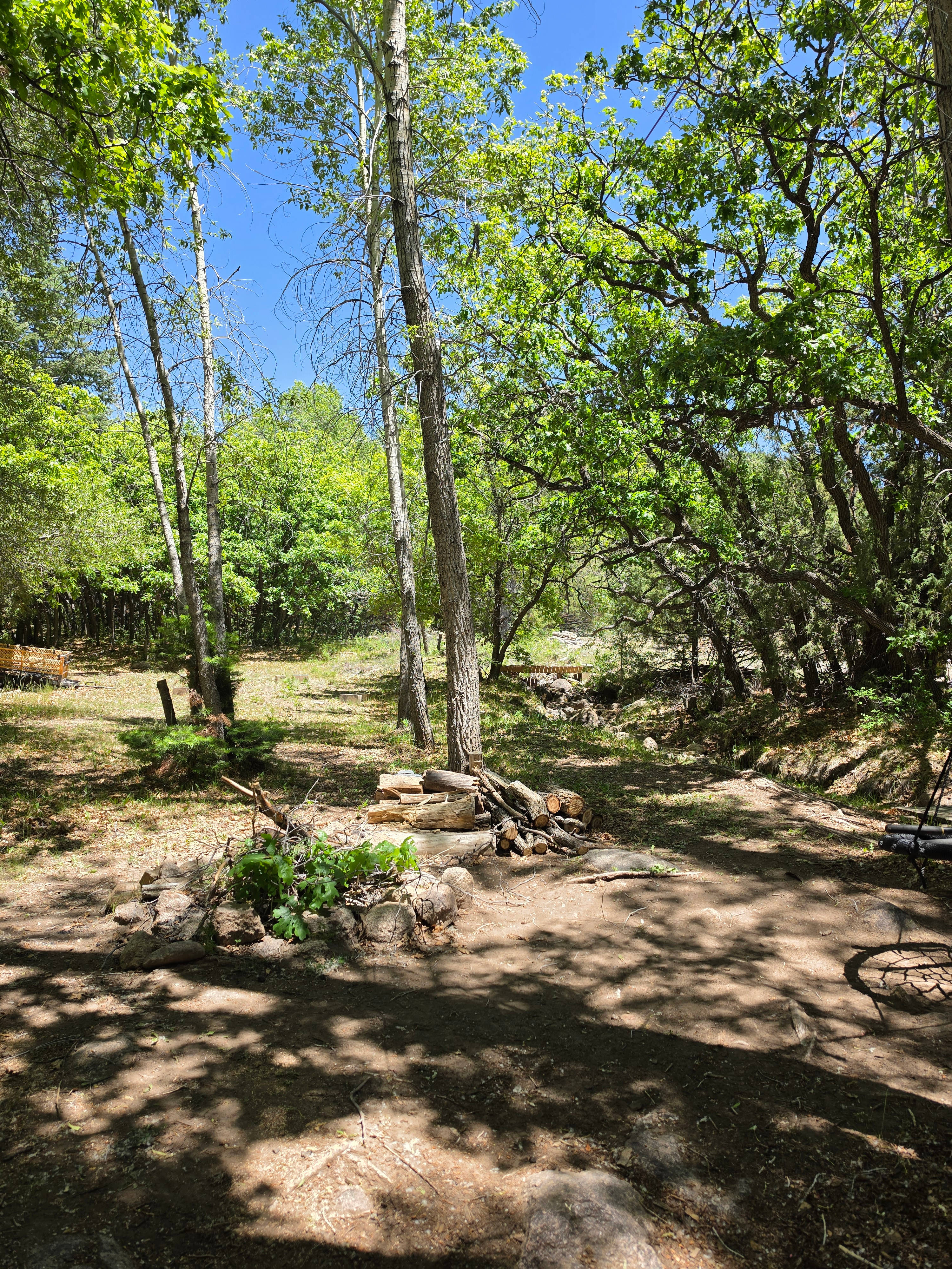 Camp Zia