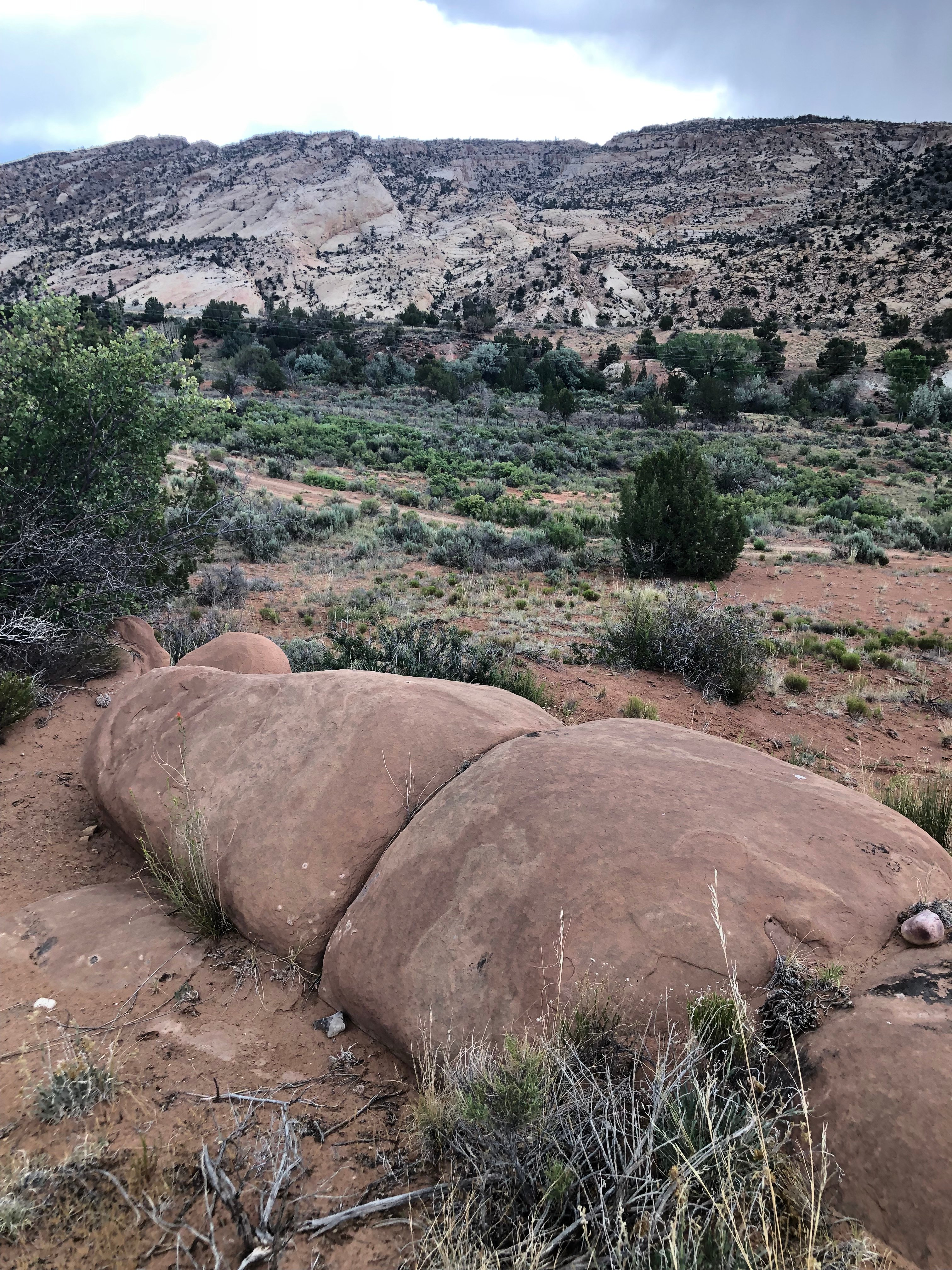ON THE RED ROCKS IN ESCALANTE