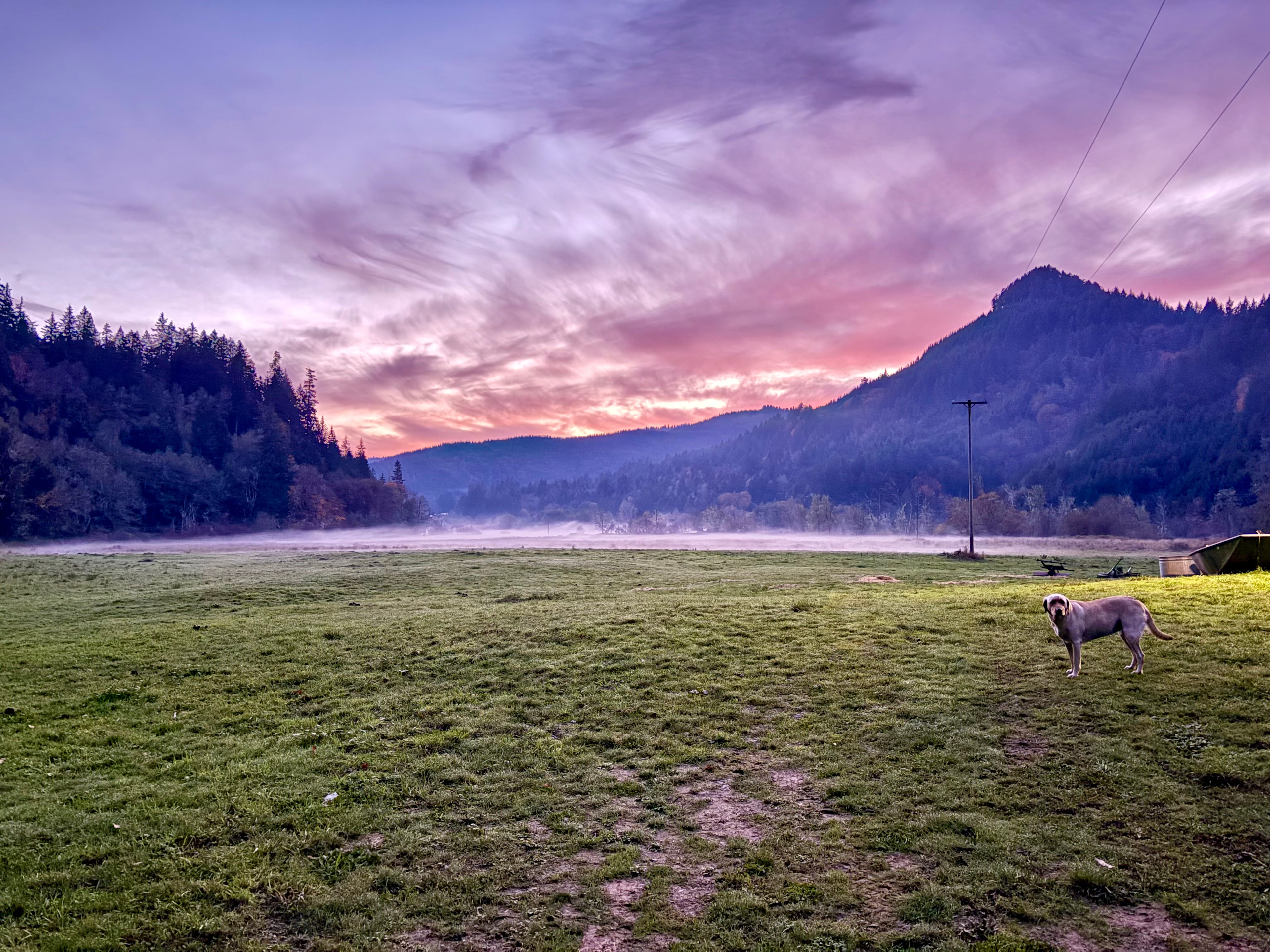 The Park at Loon Lake