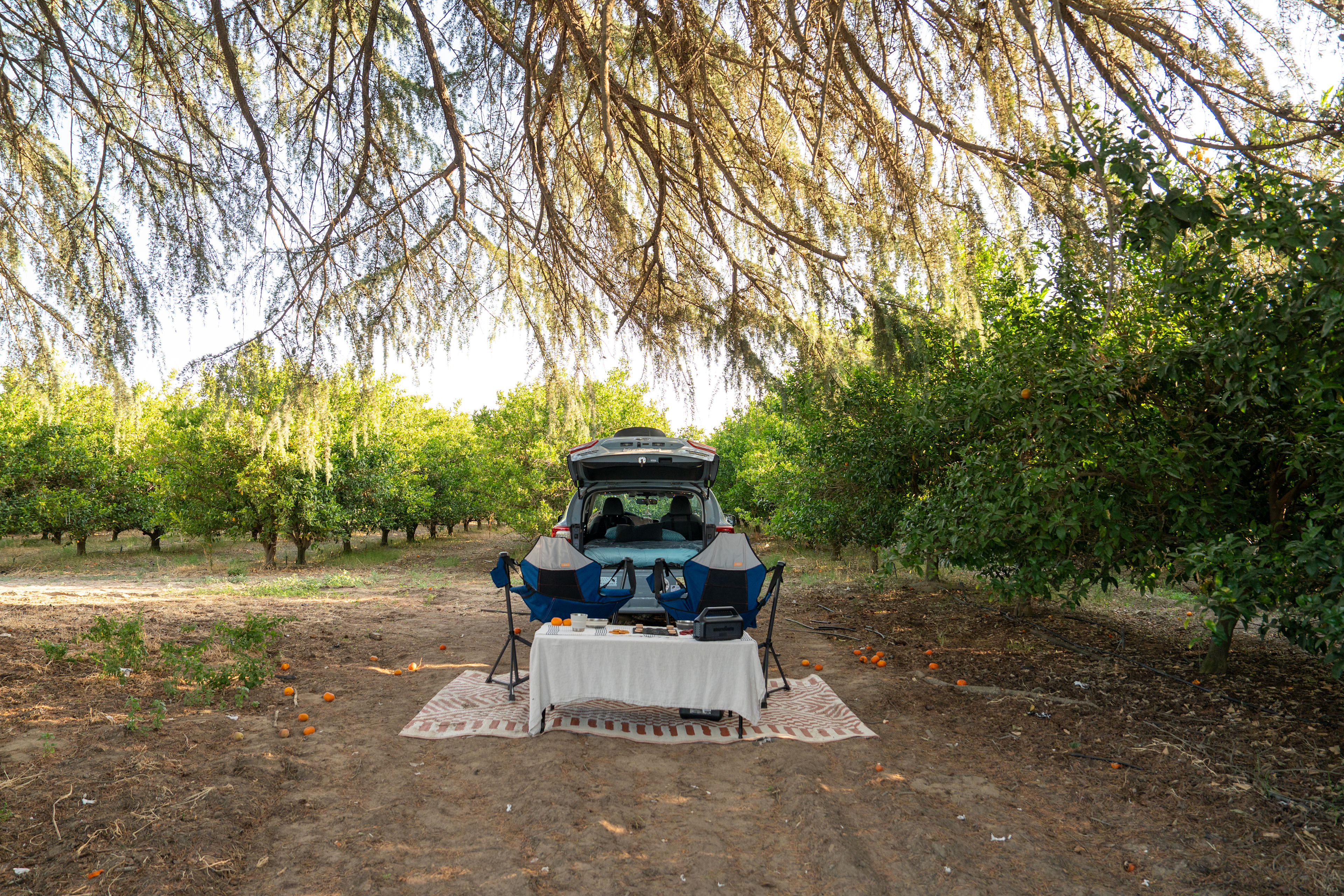 Organic Farm Boondock Camp