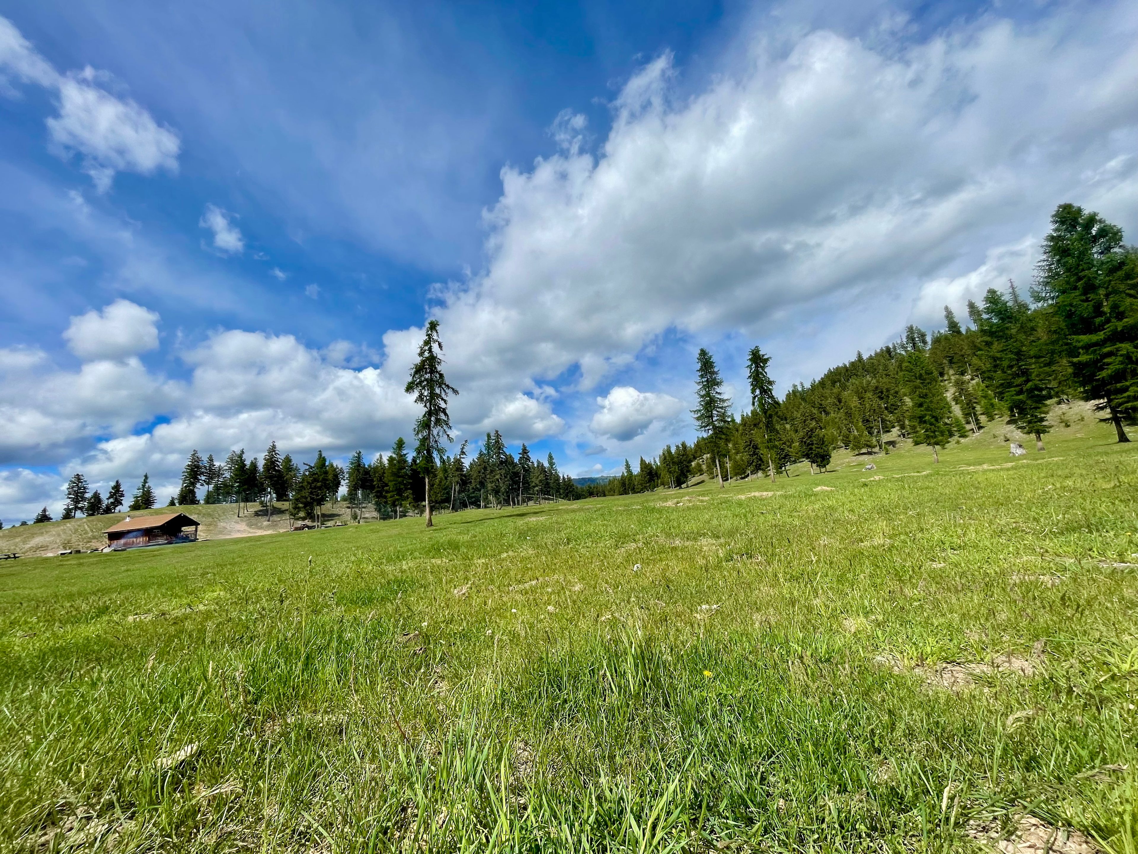 Blue Mountain Campsites