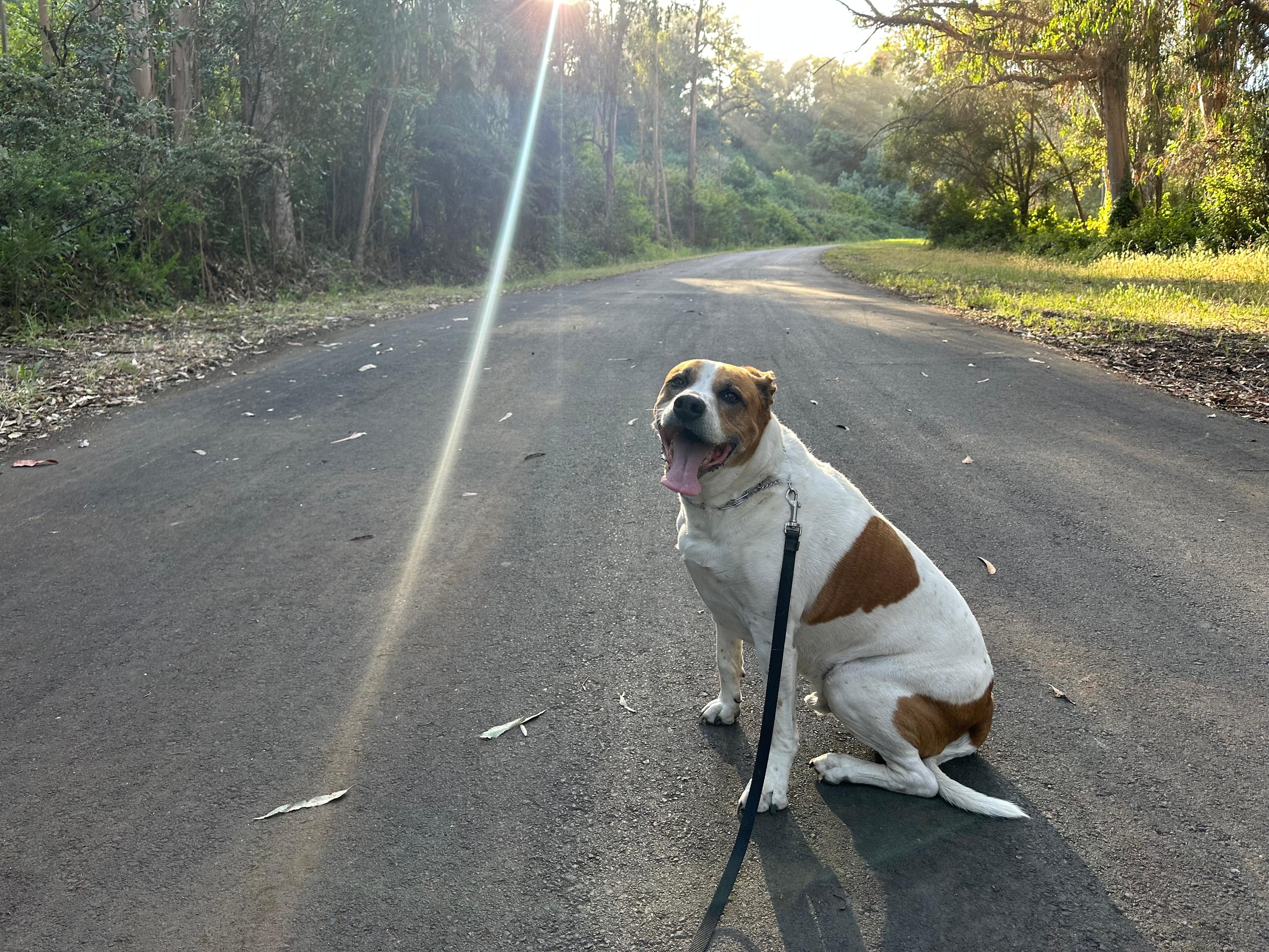 Peaceful Soquel Beach Rv Campground