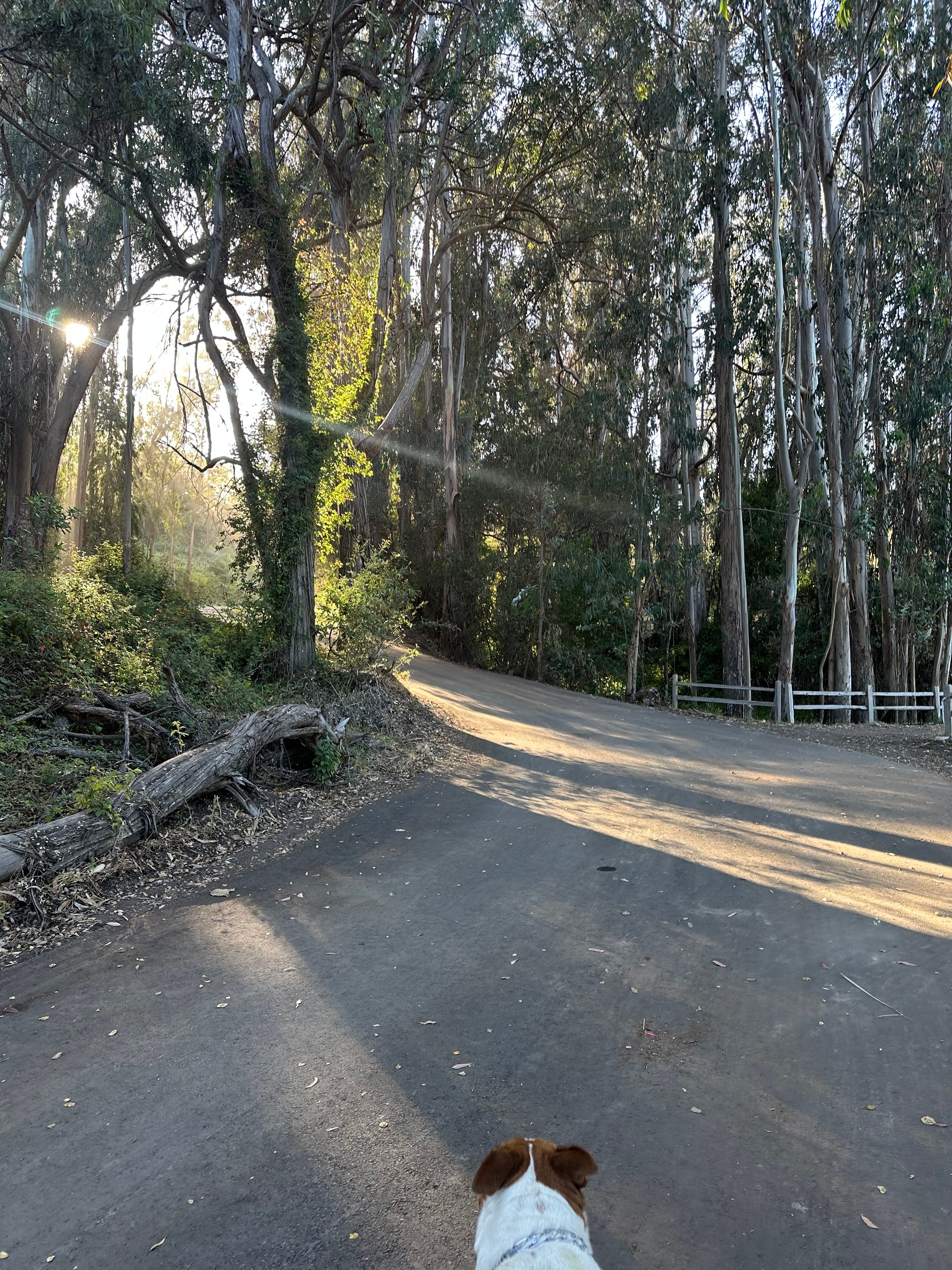 Peaceful Soquel Beach Rv Campground