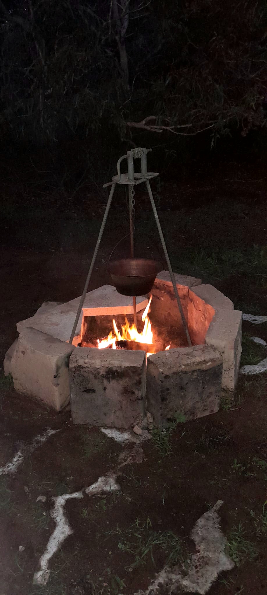 Melaleuca Hideaway