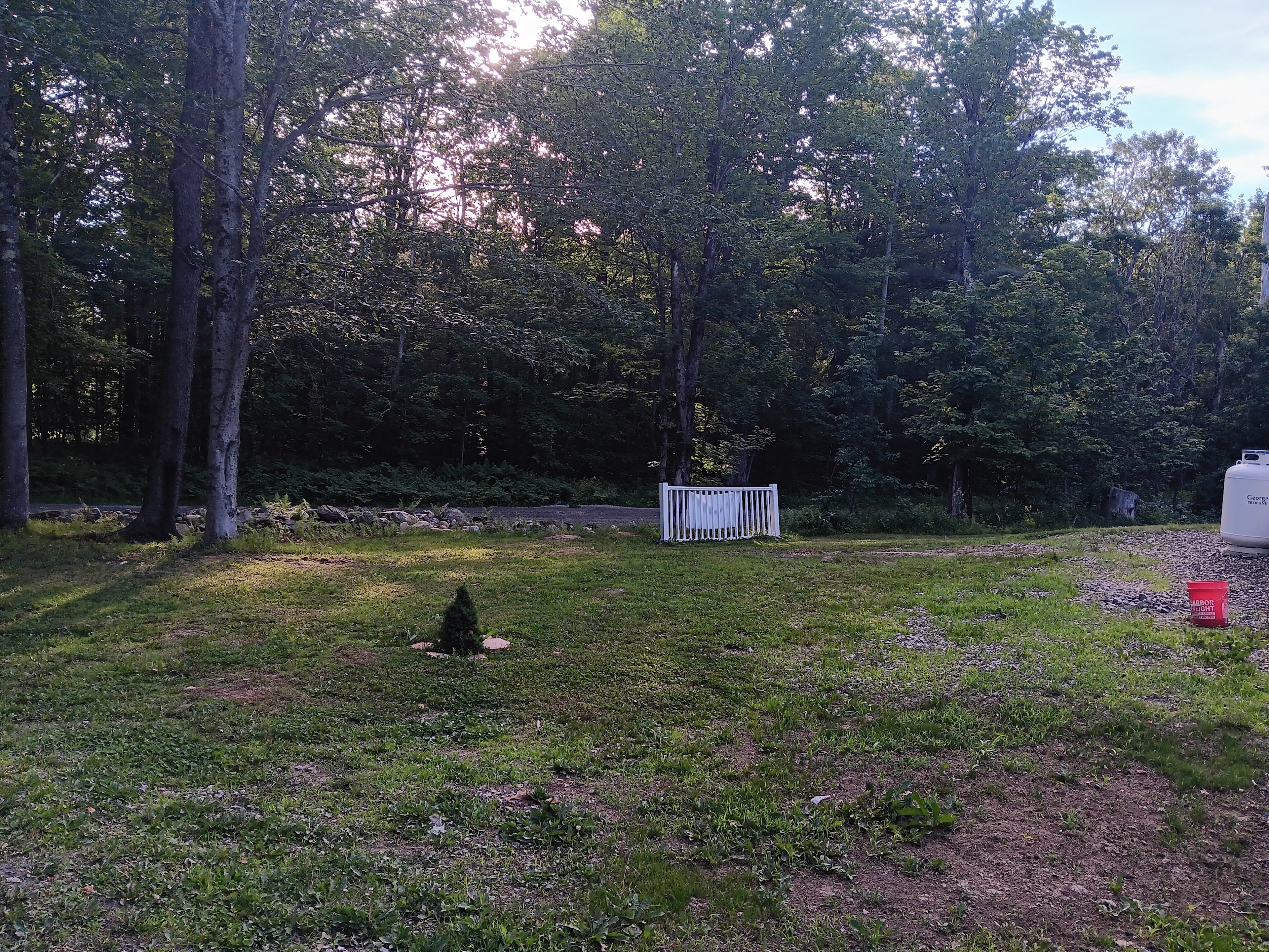 Sacred Woods