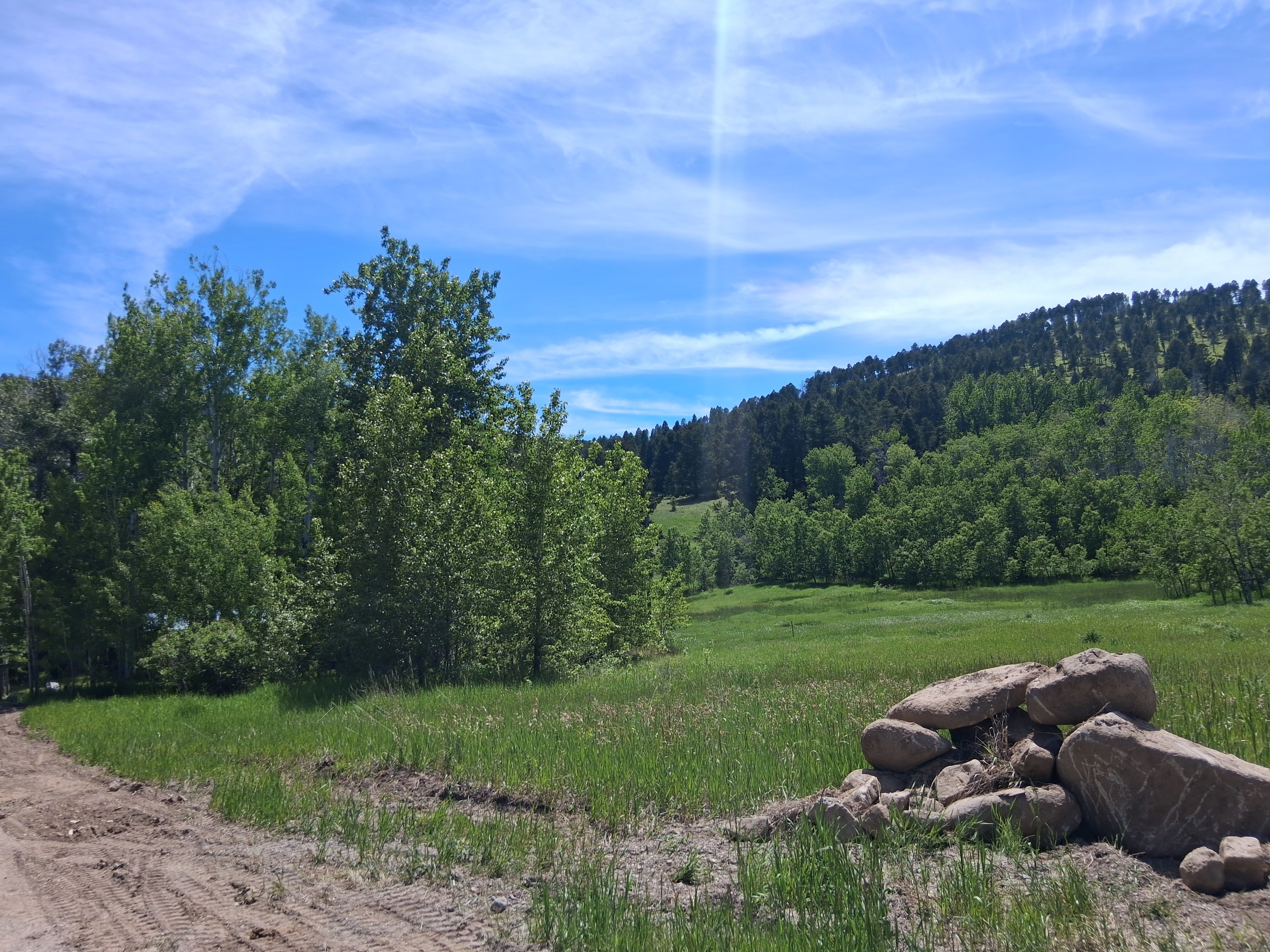 Aspen Oasis