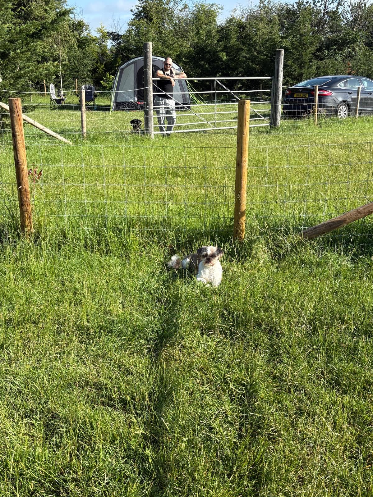 Grass was a little too long