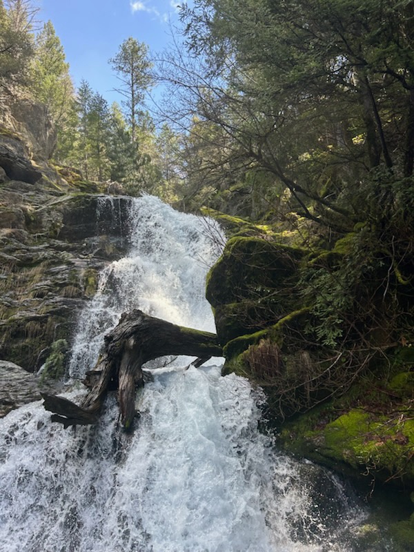 Mobley springs