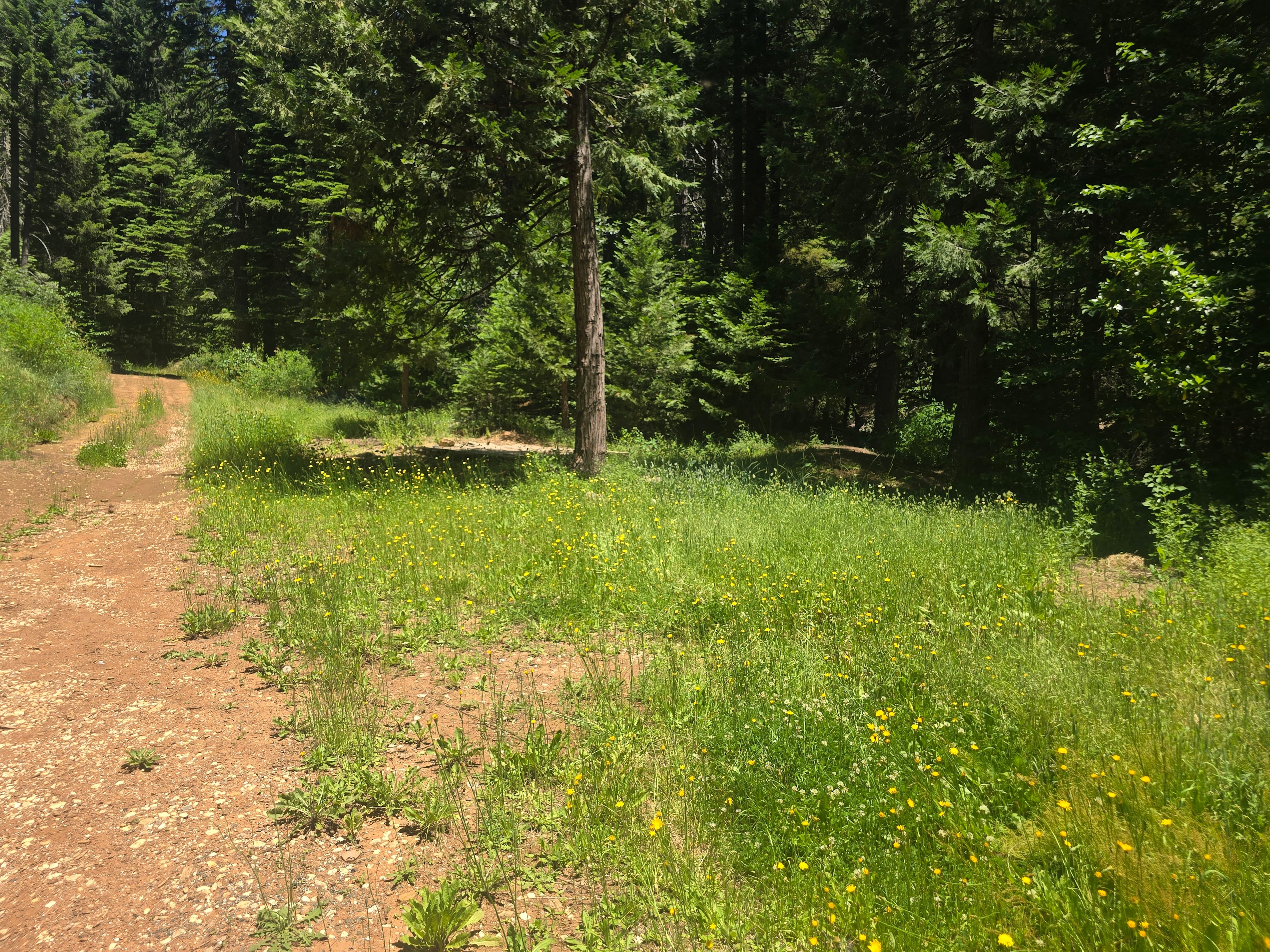 Mobley springs