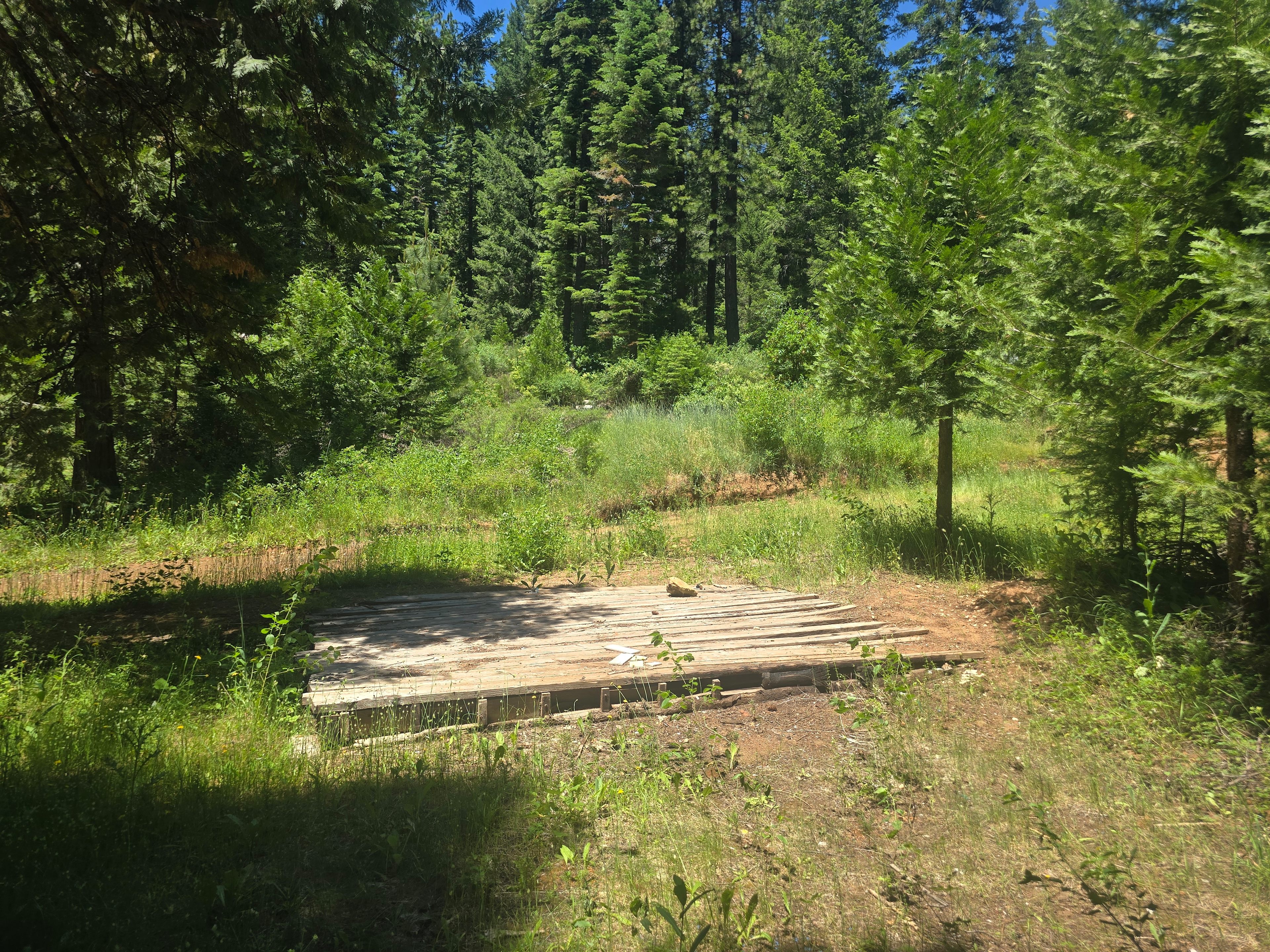 Mobley springs