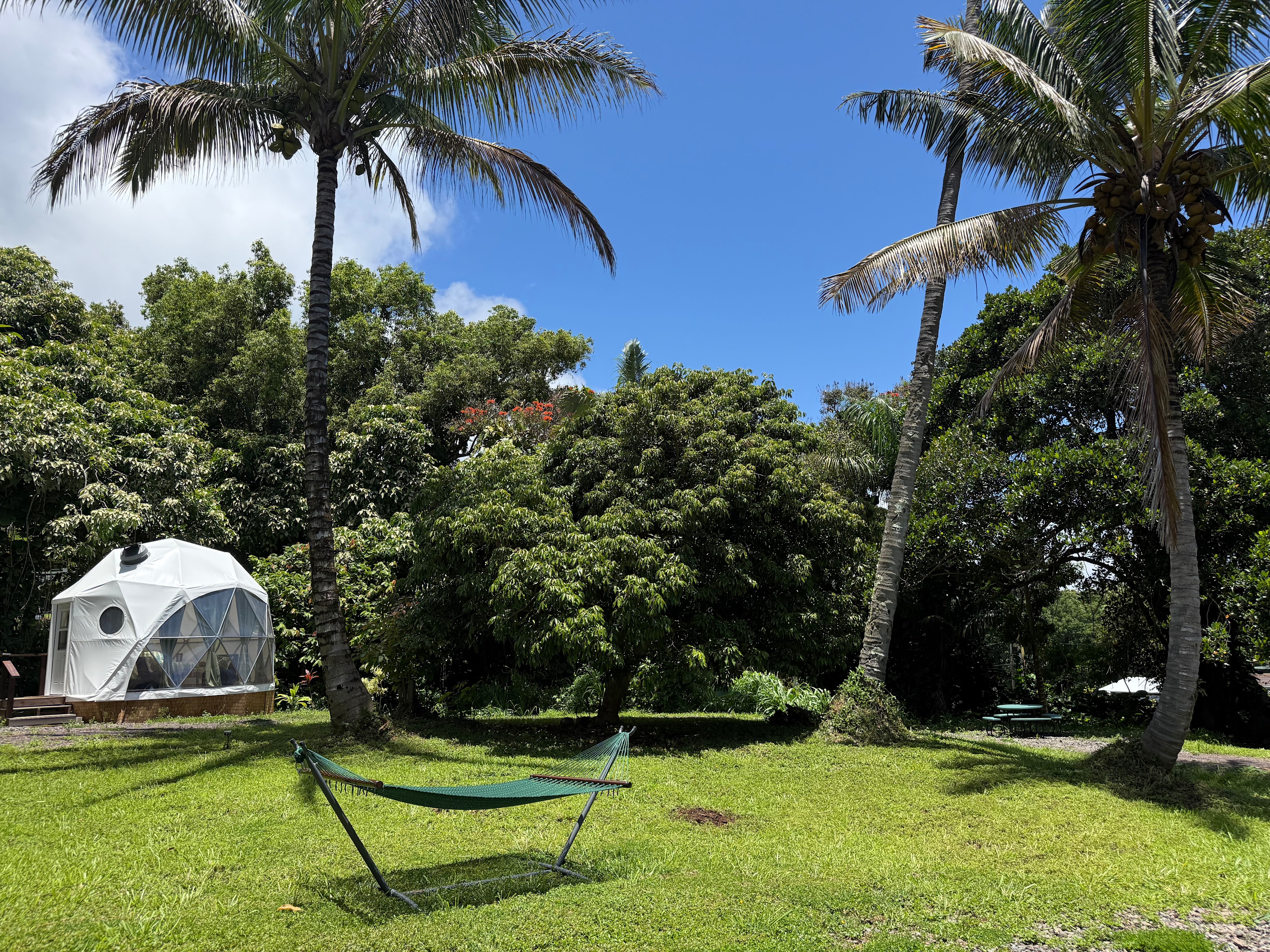 Mana Grove Domes