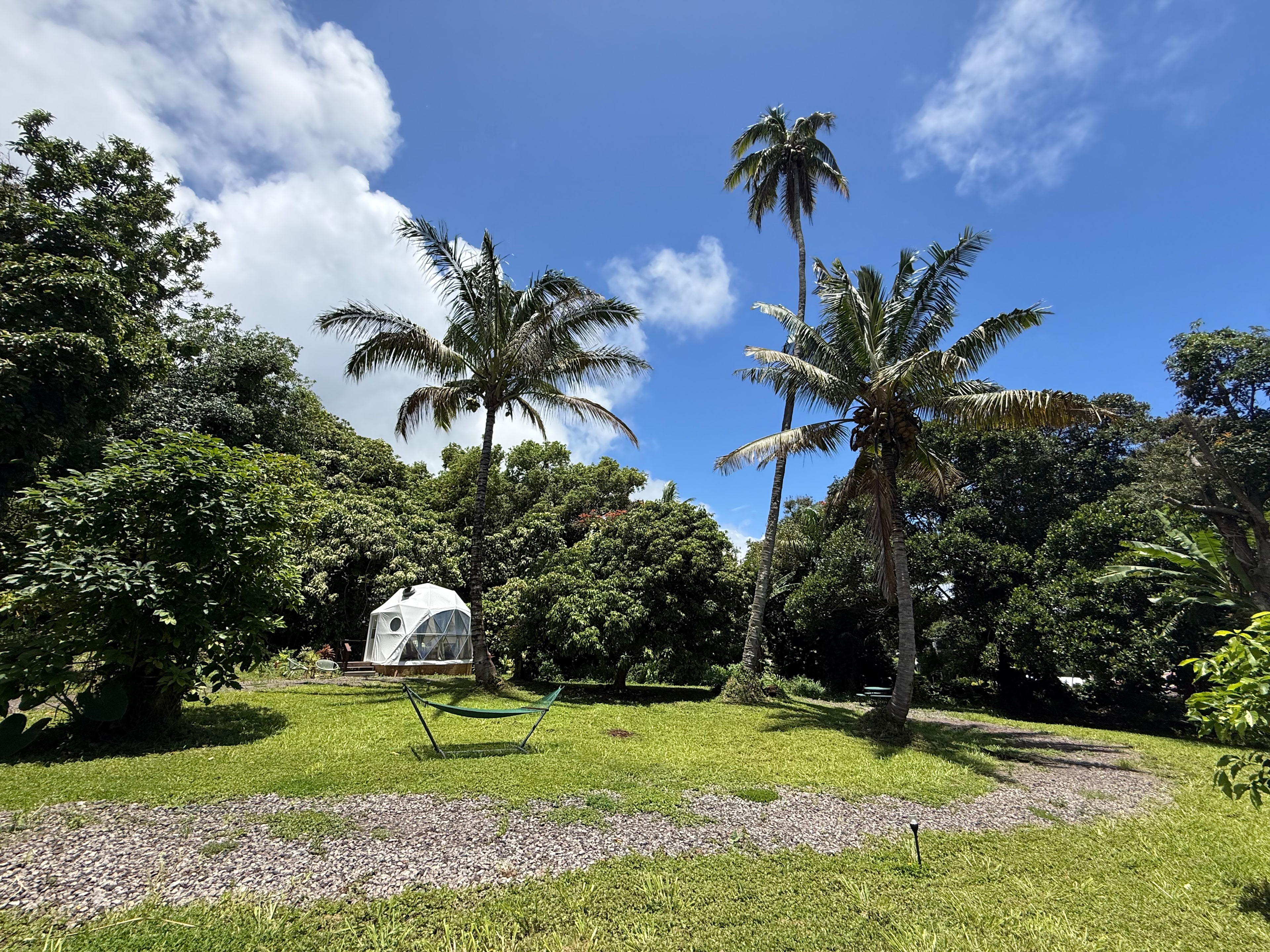 Mana Grove Domes