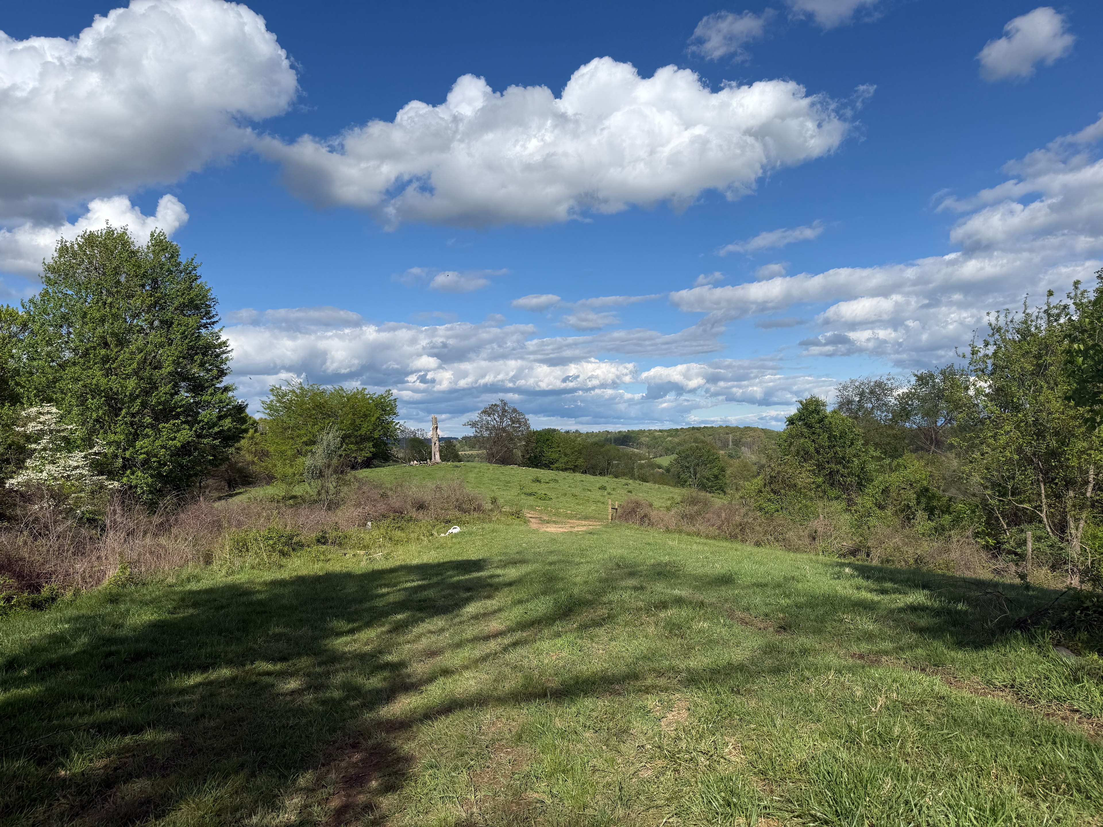 Living Valley Farm