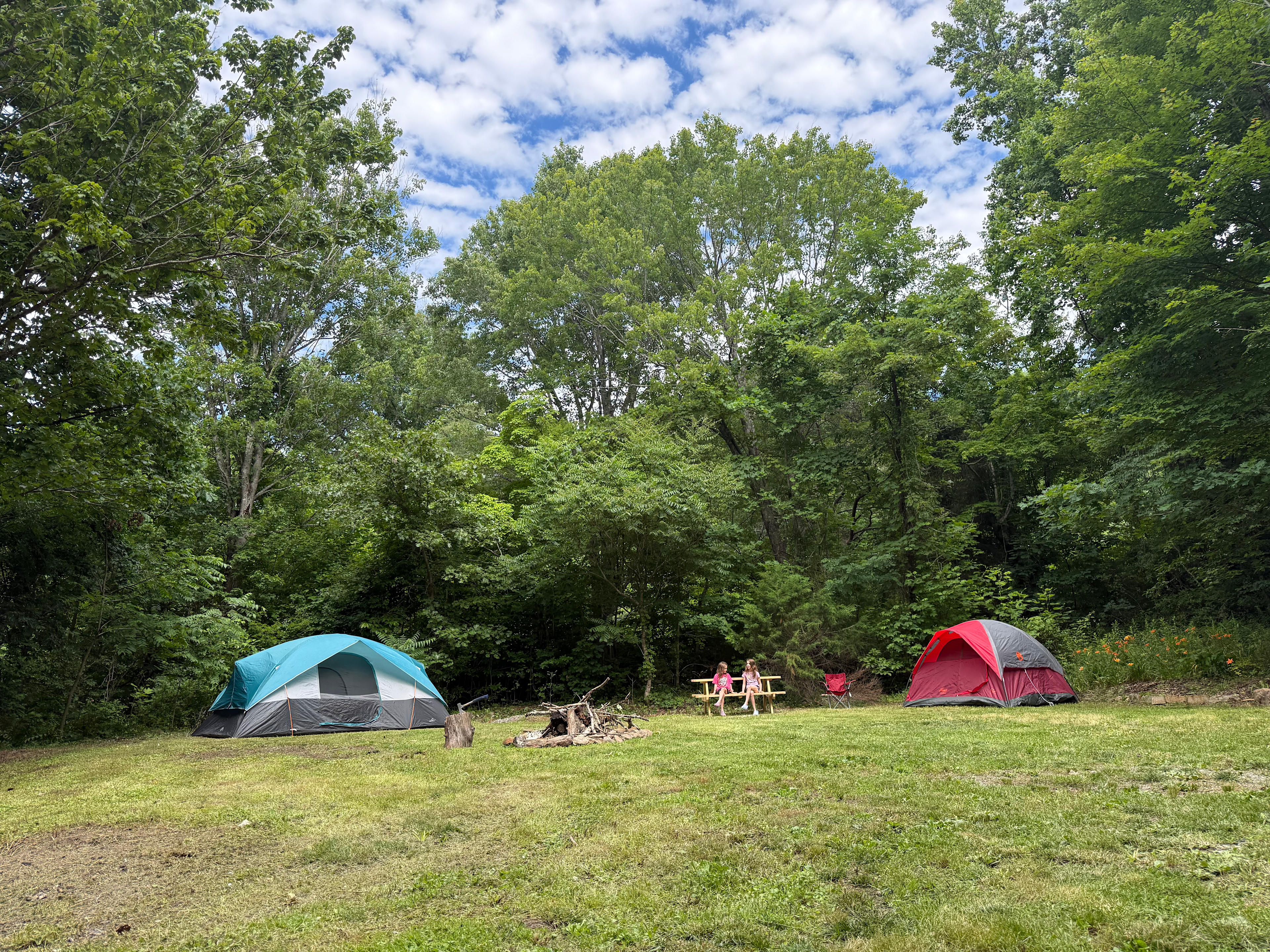 Black Bear Mountain Homestead