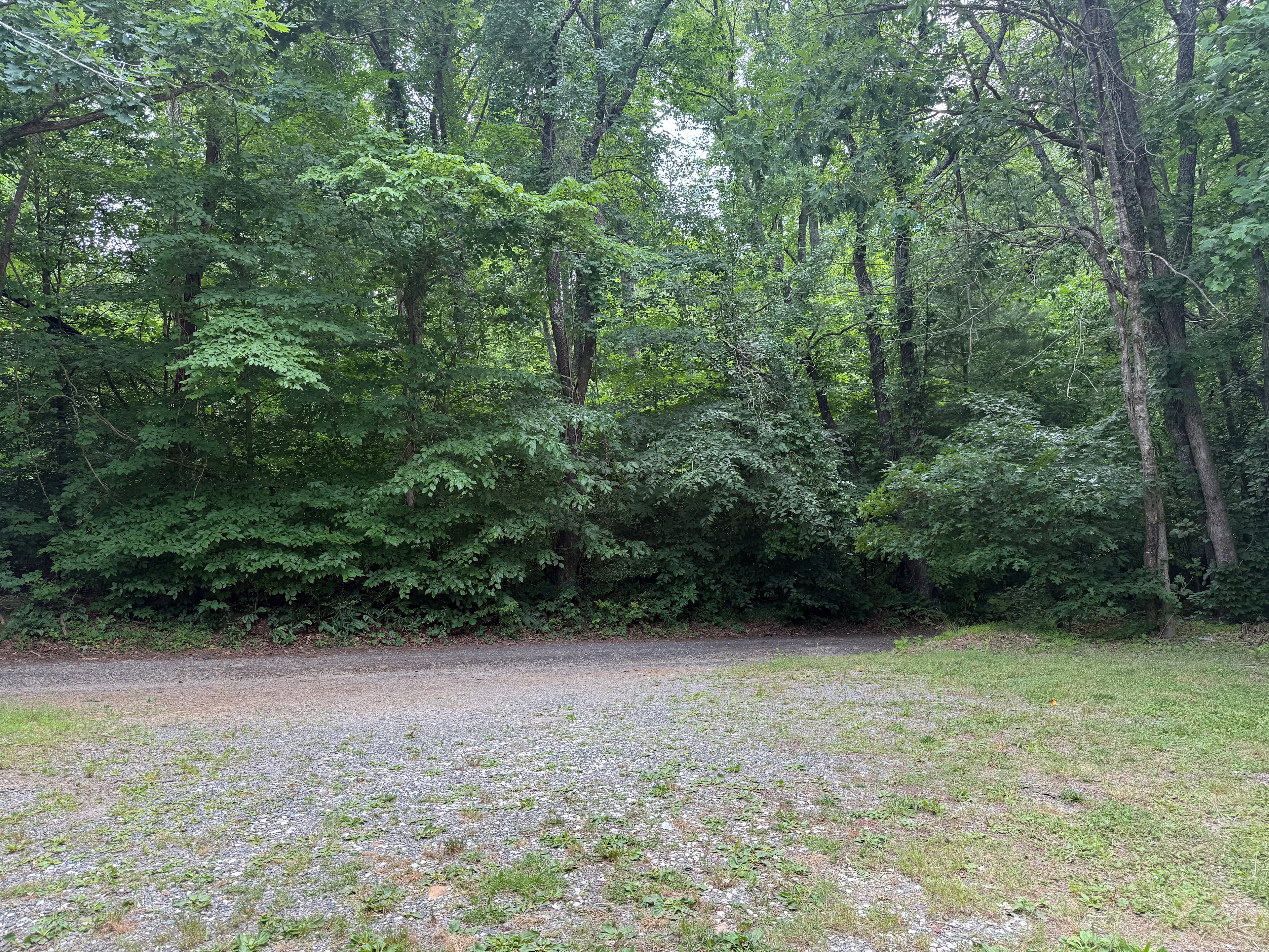 Black Bear Mountain Homestead