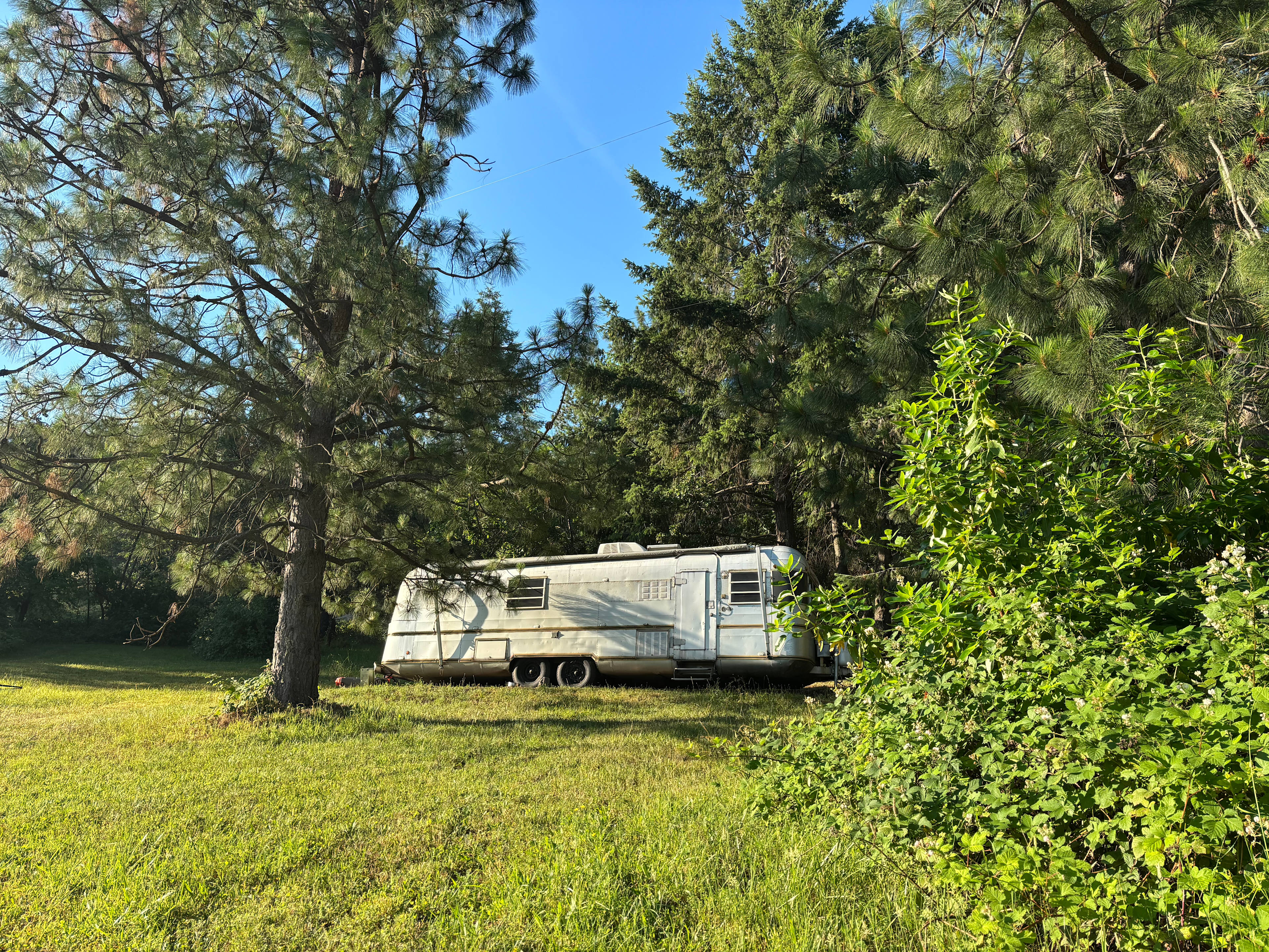 Silver Streak Supreme by Ashland