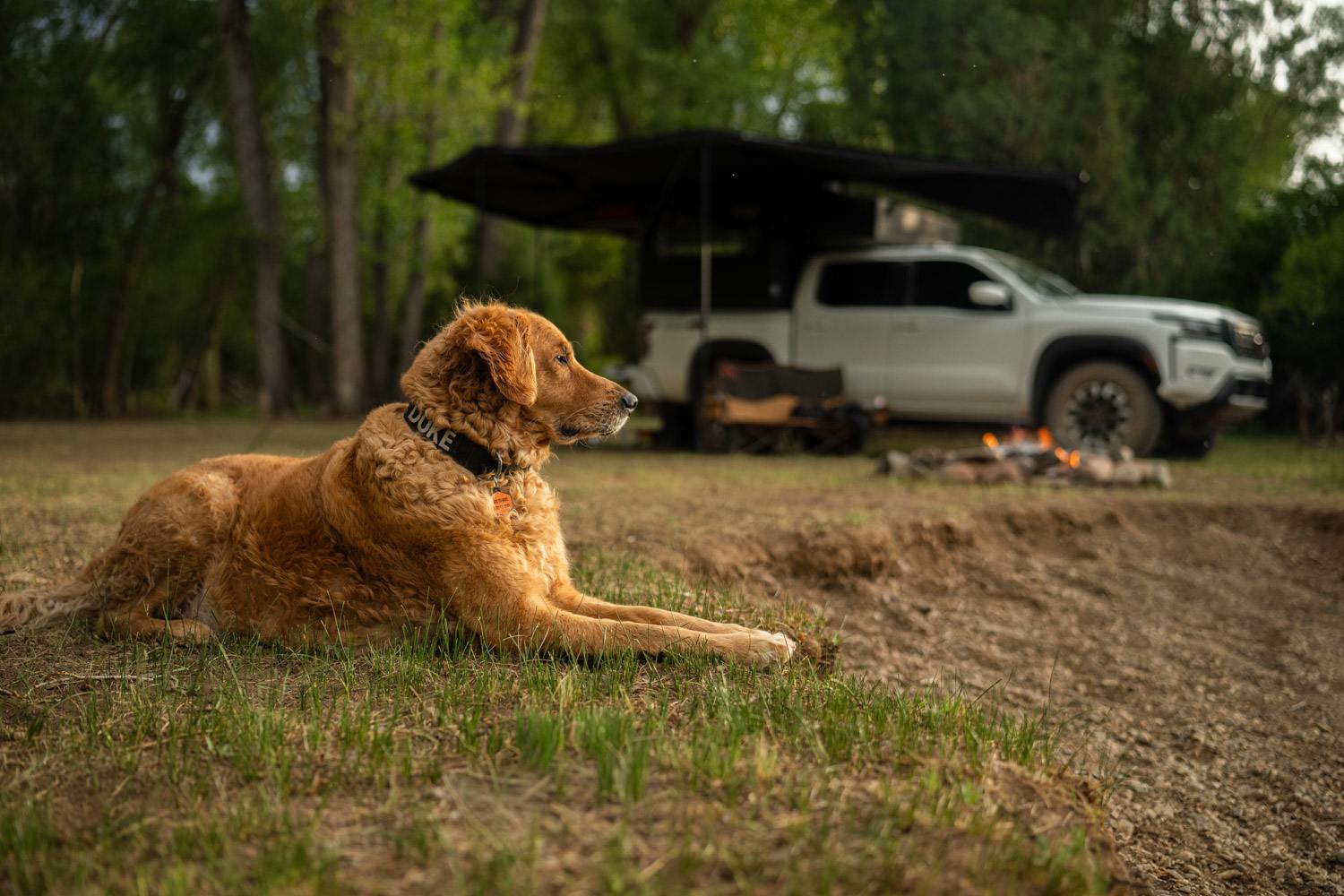Duke enjoying our riverside campsite.
