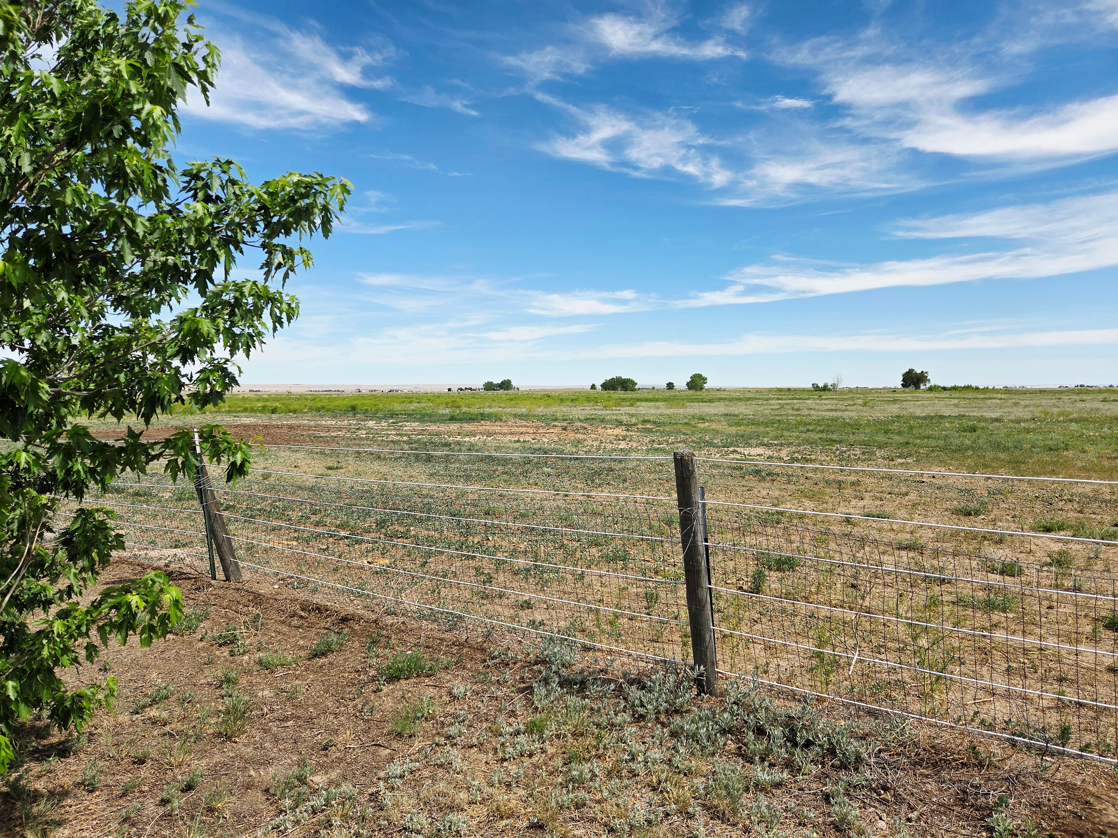Leepaway Ranch