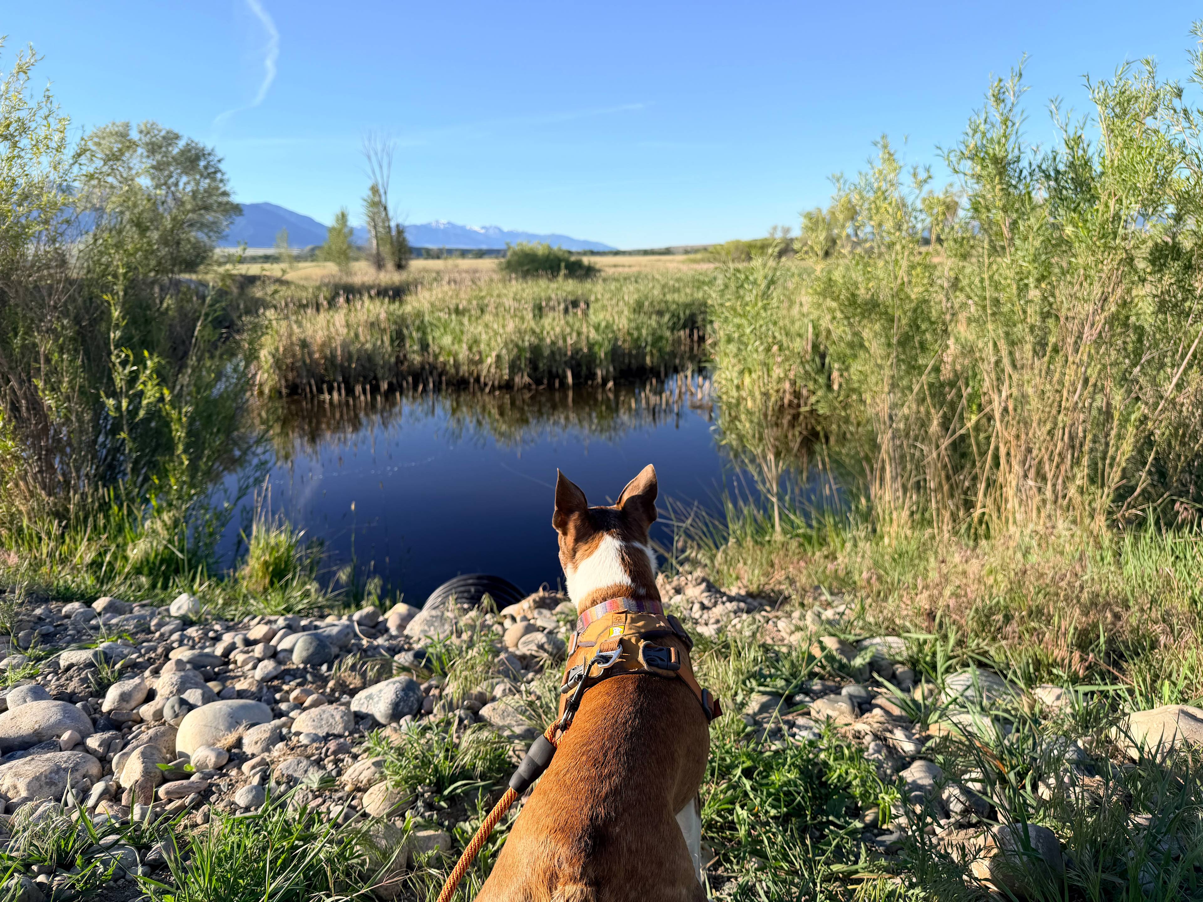 Ennis RV Park by Starry Night Lodging