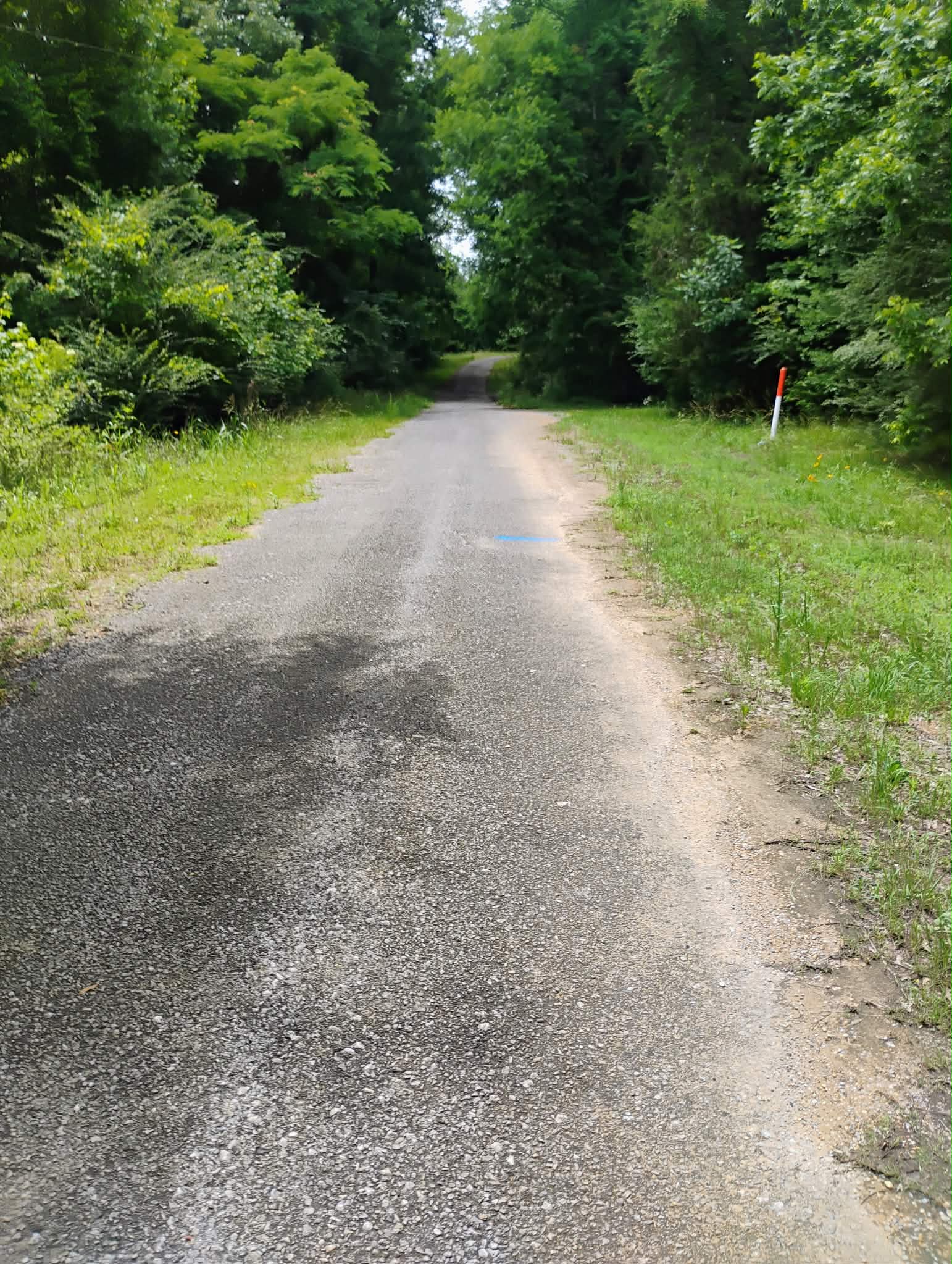 Wild Ferns Campground