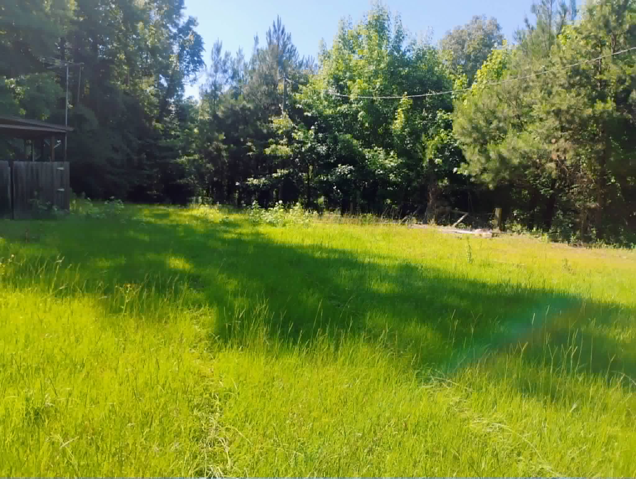 Wild Ferns Campground