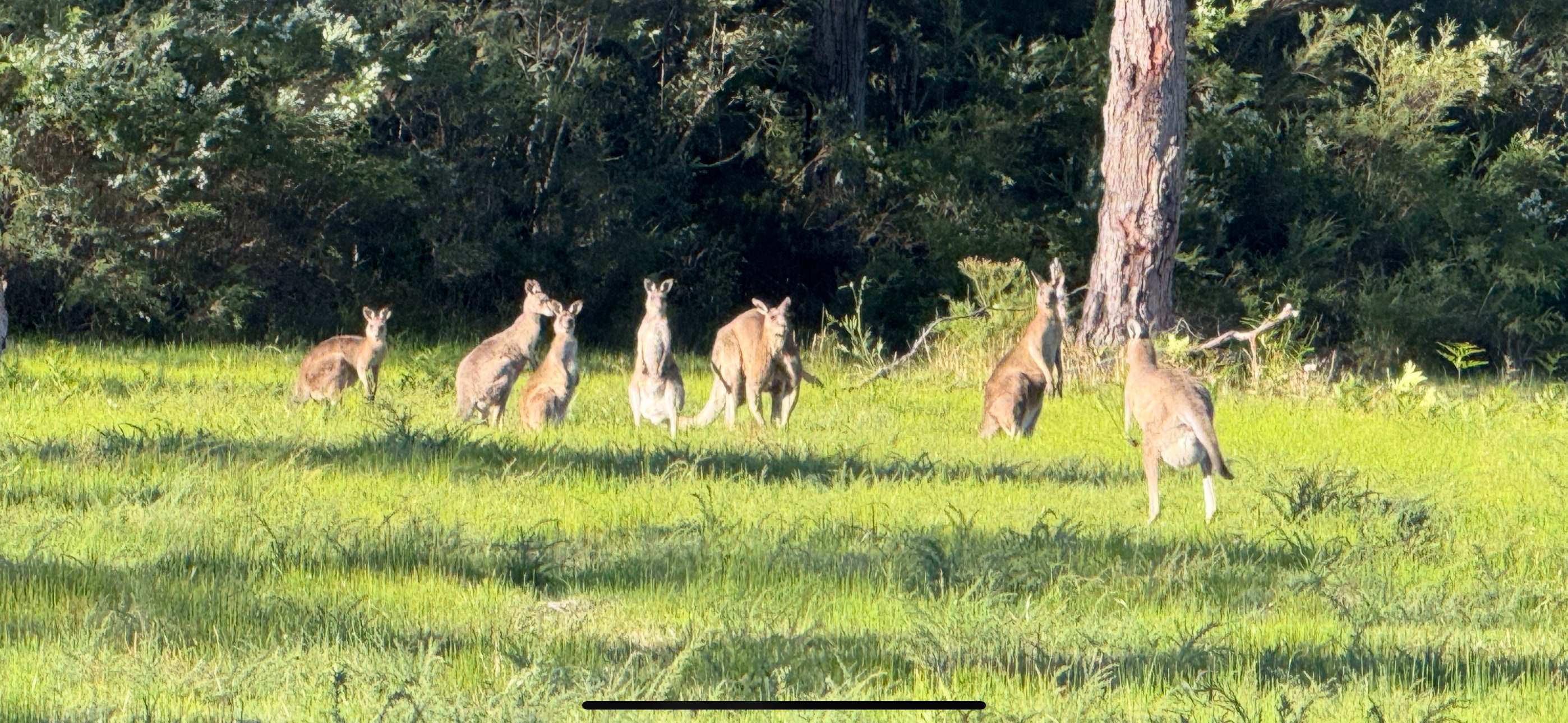 Destination Jervis Bay