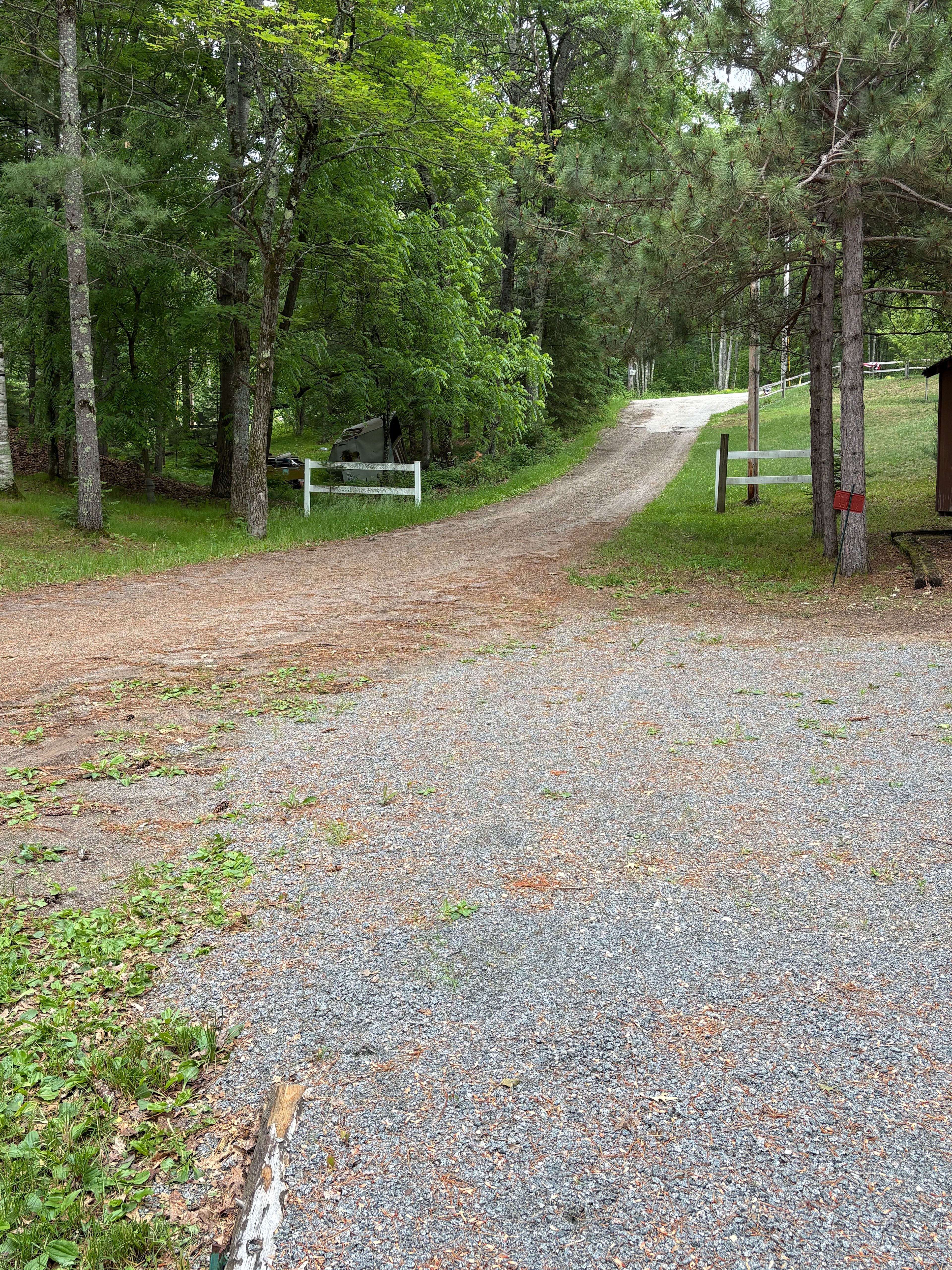 View from RV pad looking up towards main road 