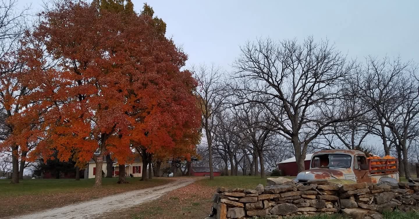Rock Wall Ranch LLC