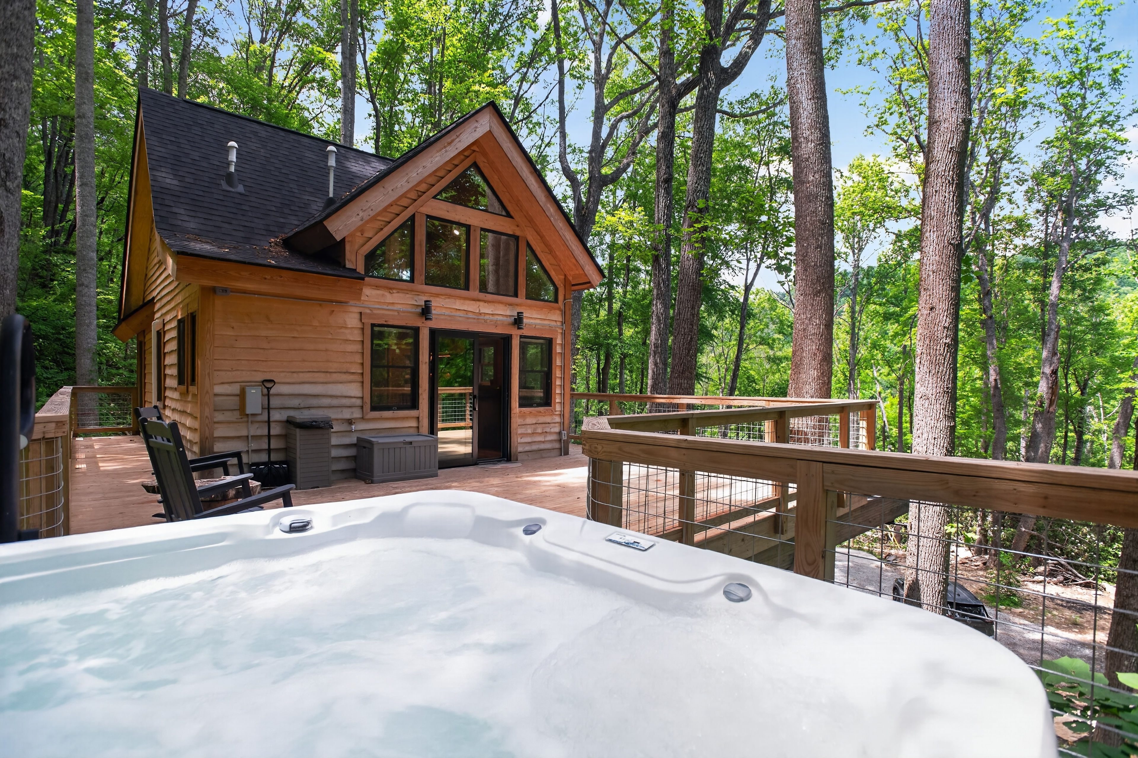 Beary Cozy Treehouse