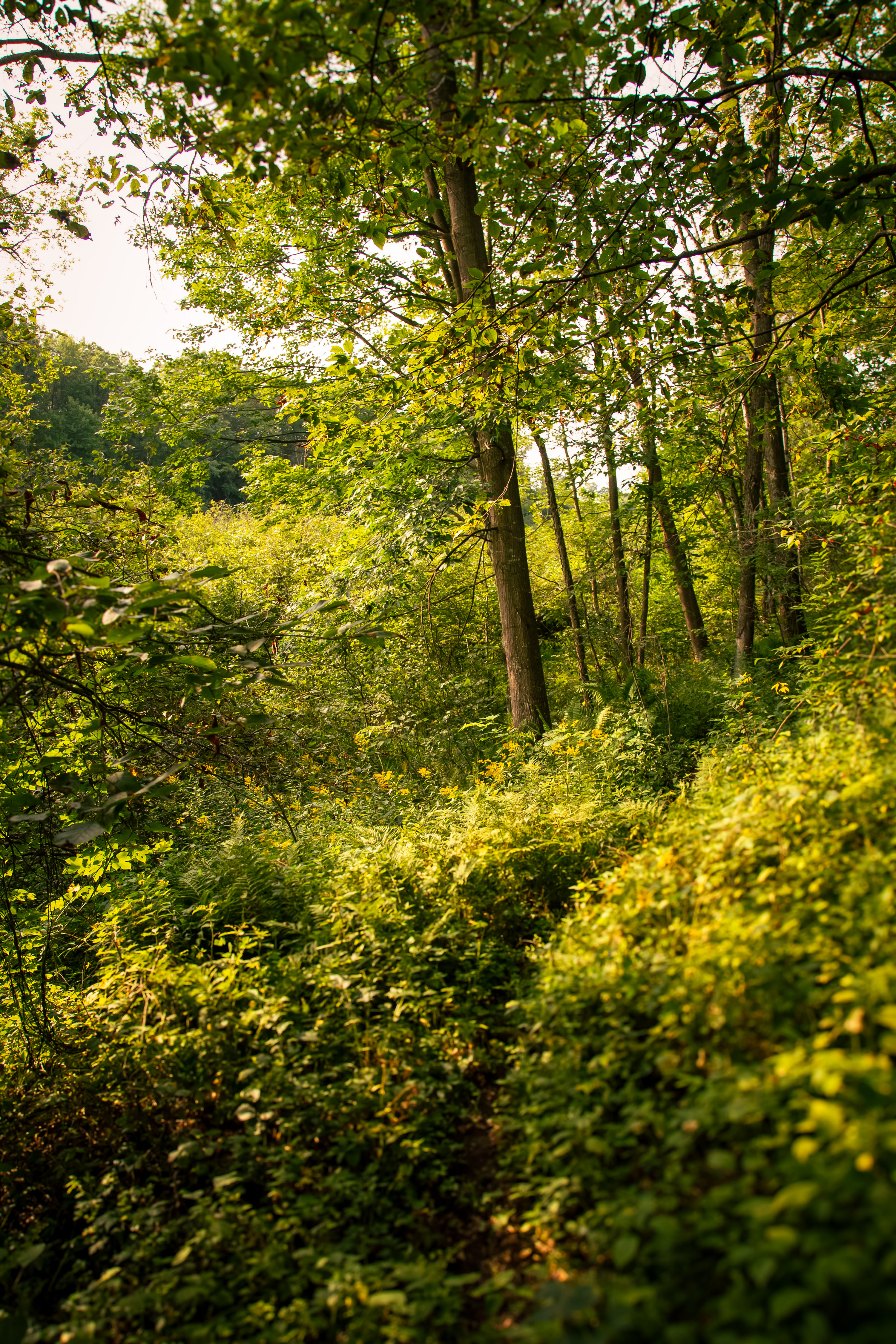 Sweeny Creek Glamping