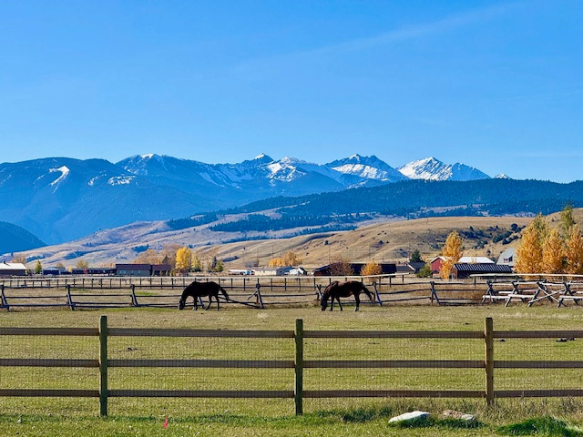 Cloud Nine Equine Ranch