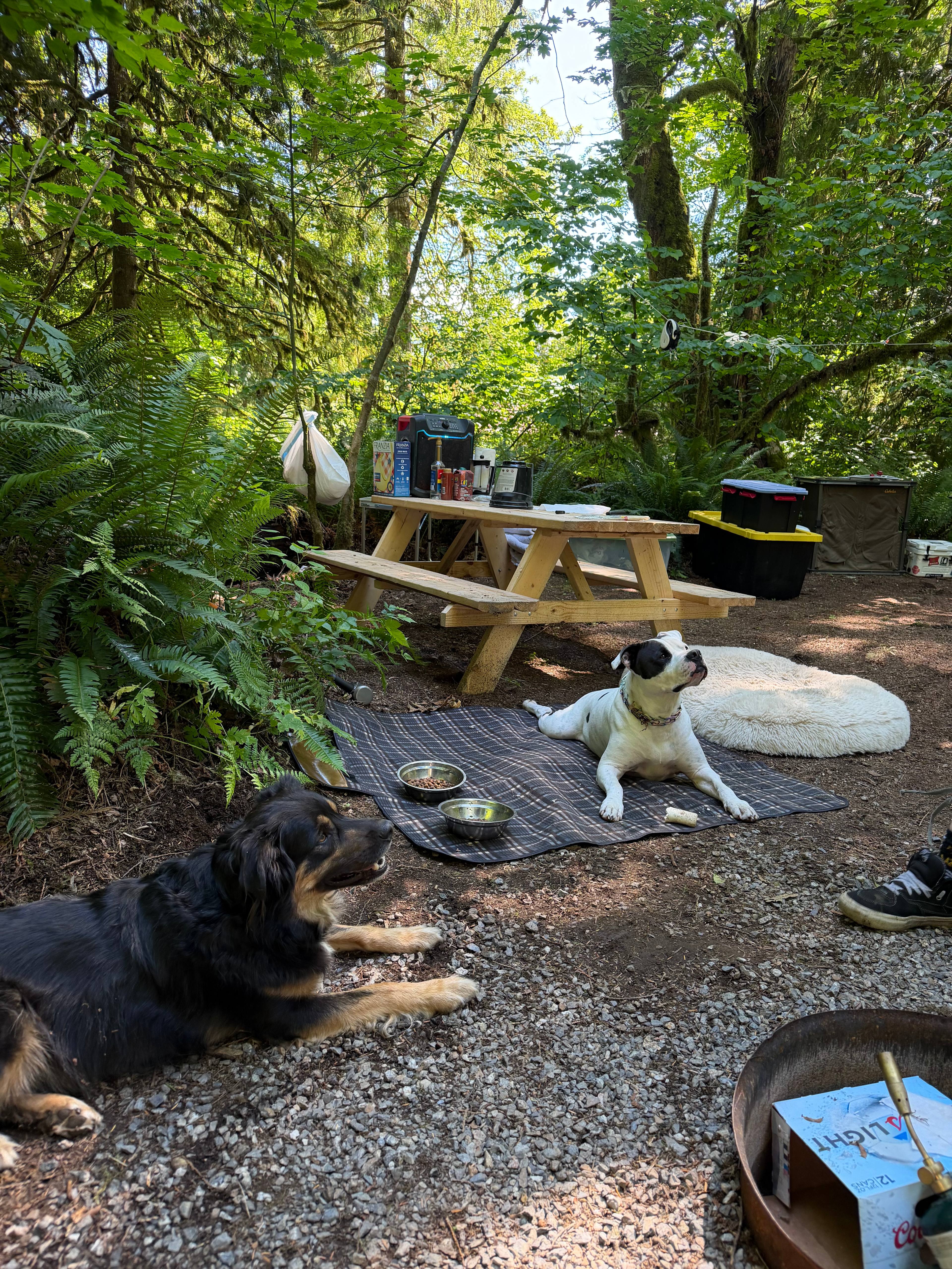 Hideaway cedars campground