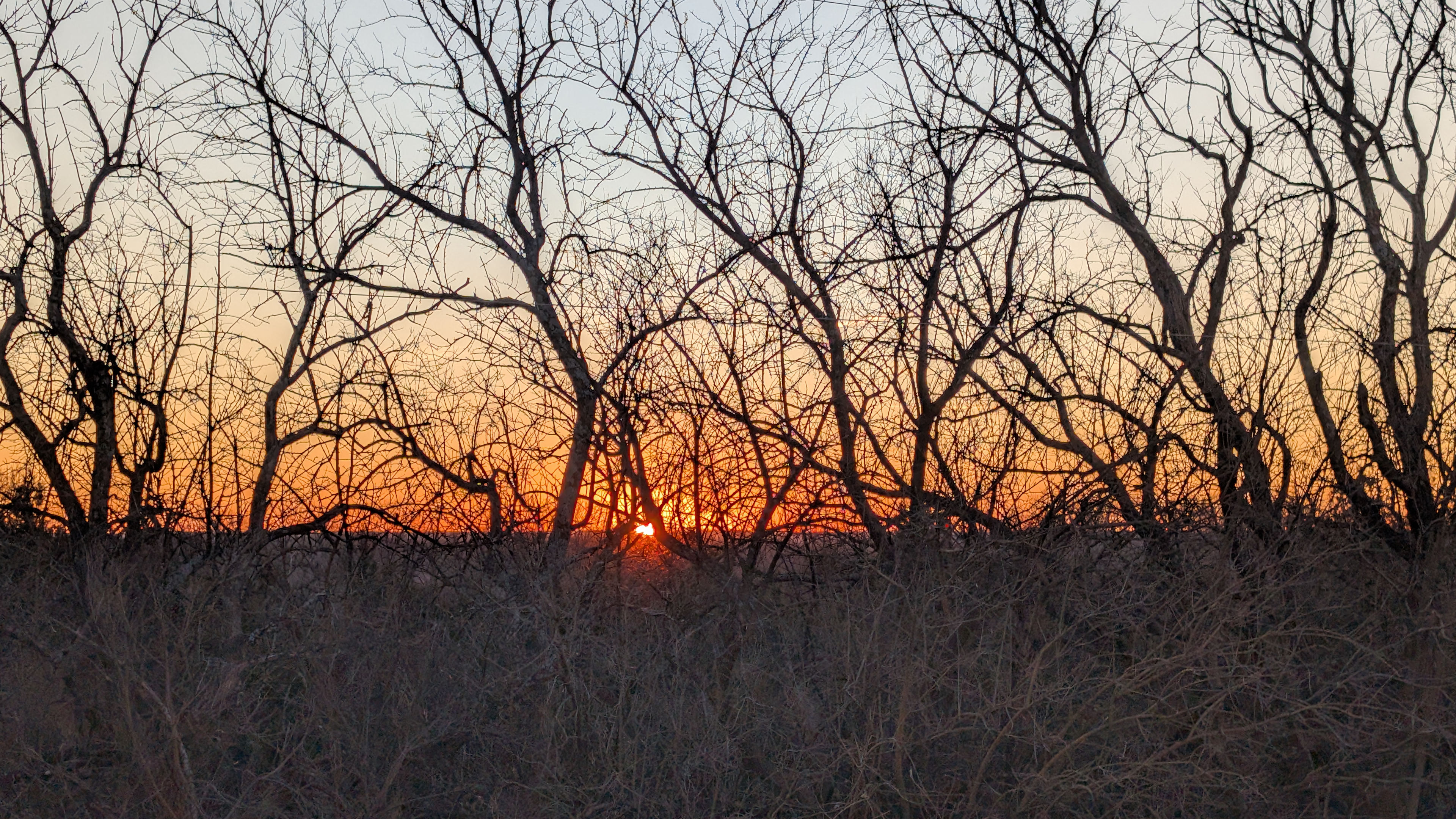 MST Ranch