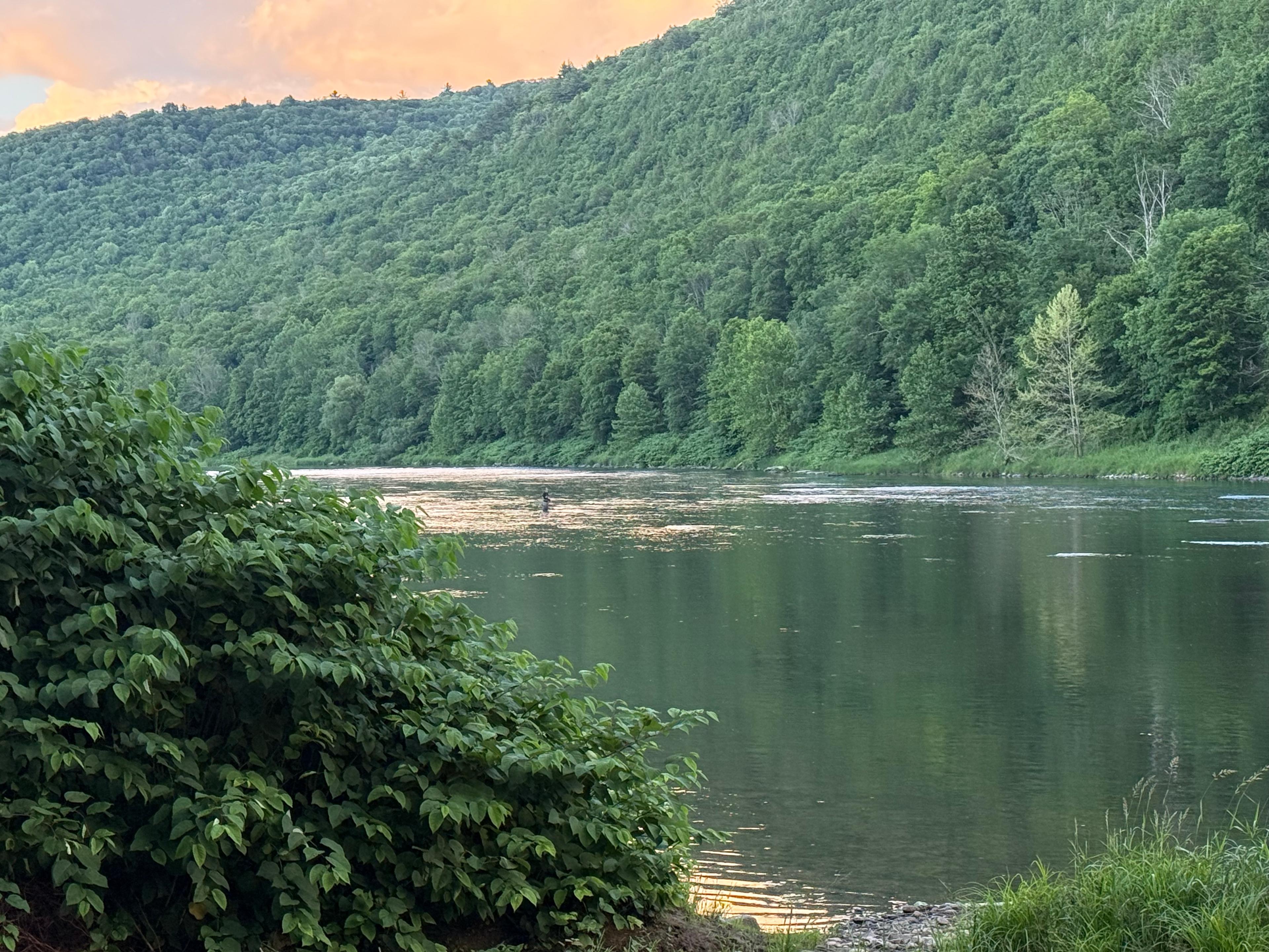 The view from the riverfront, looking North. 