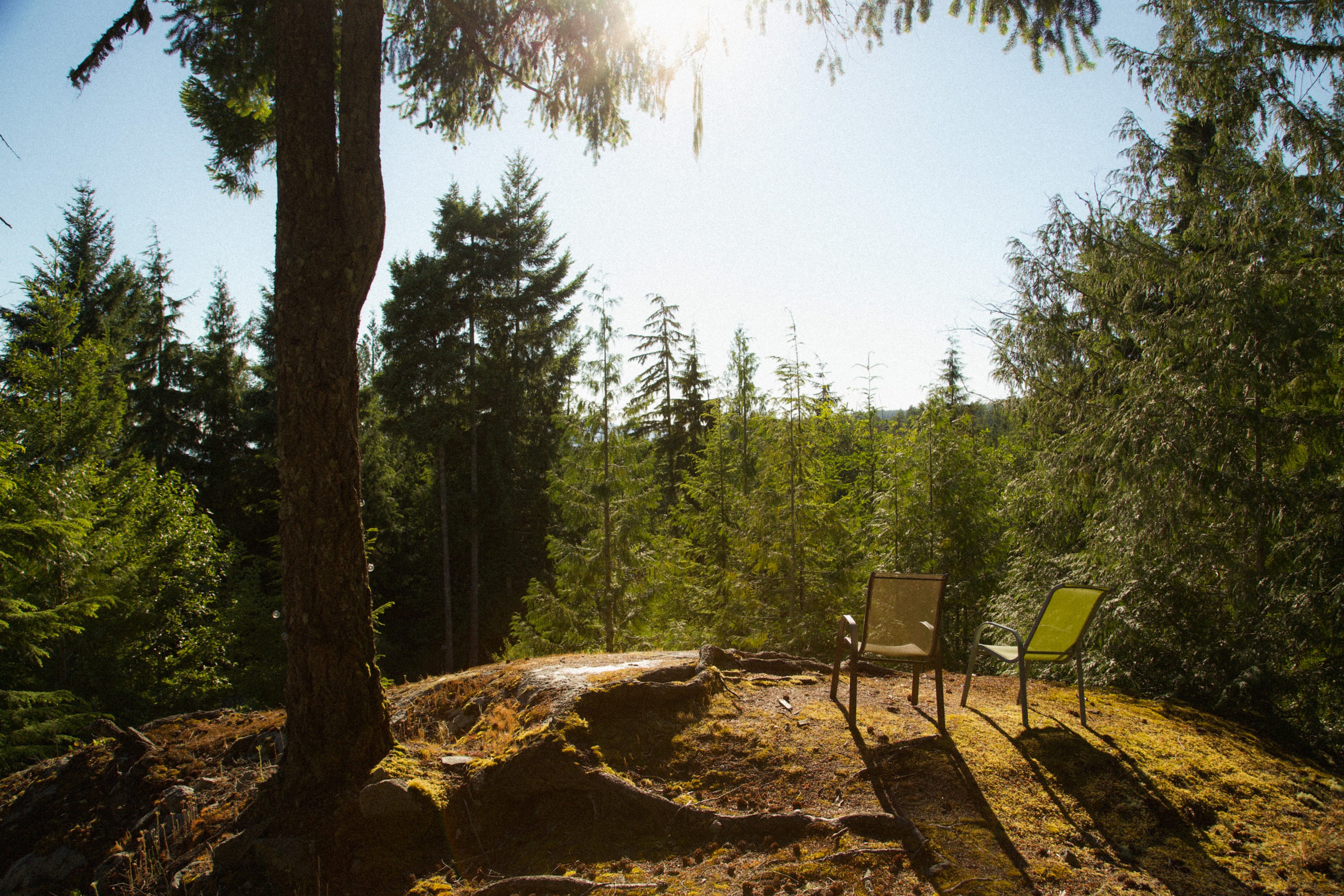 Tiny Secrets Farm & Retreat