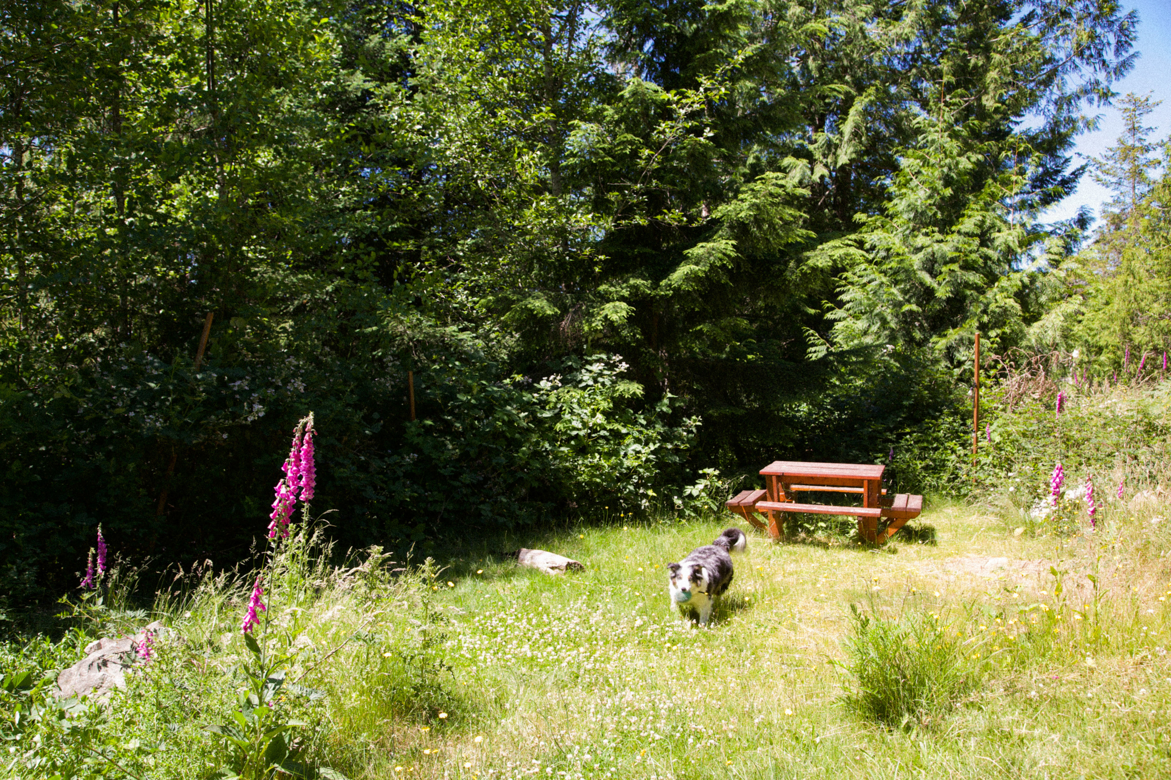Tiny Secrets Farm & Retreat