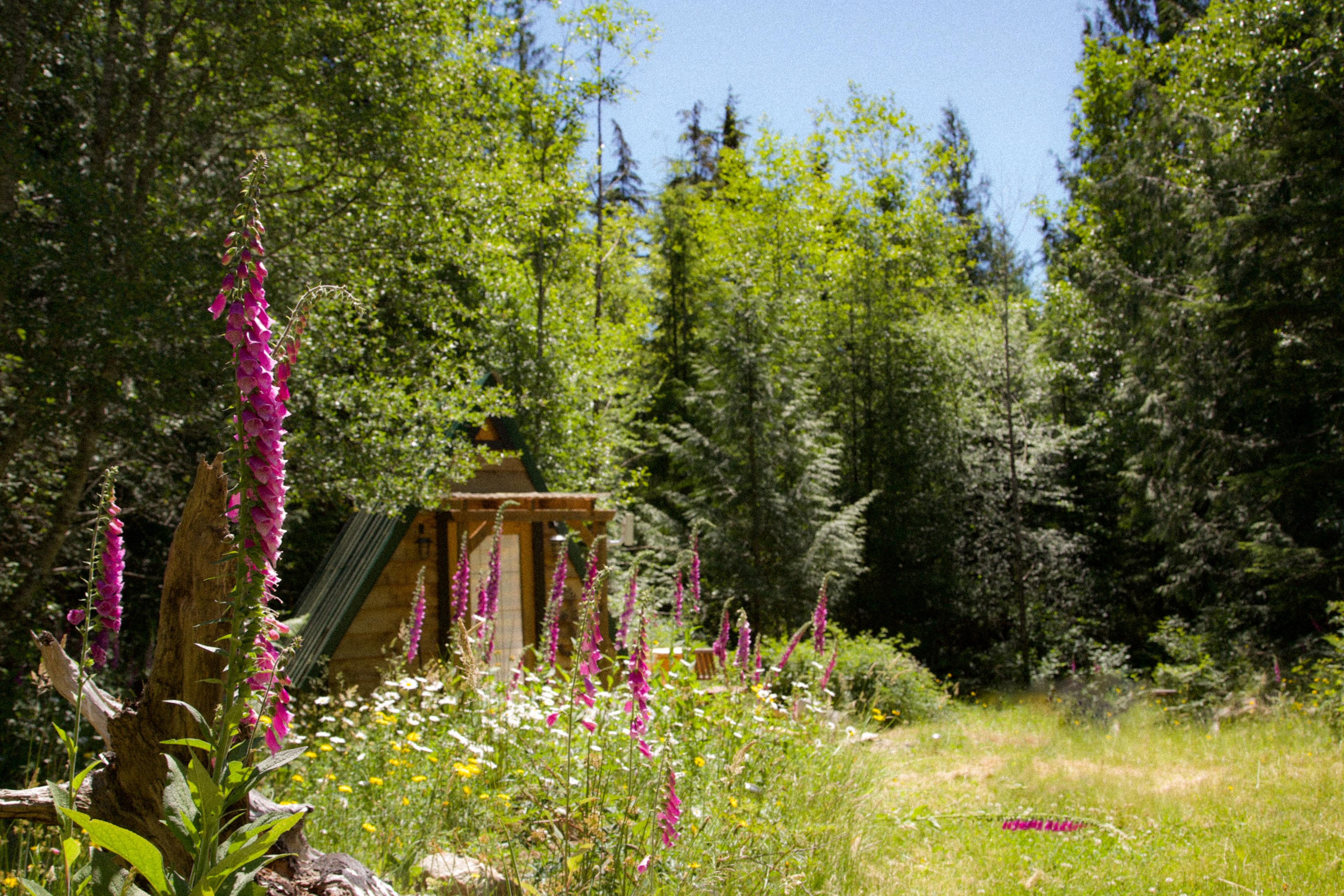Tiny Secrets Farm & Retreat