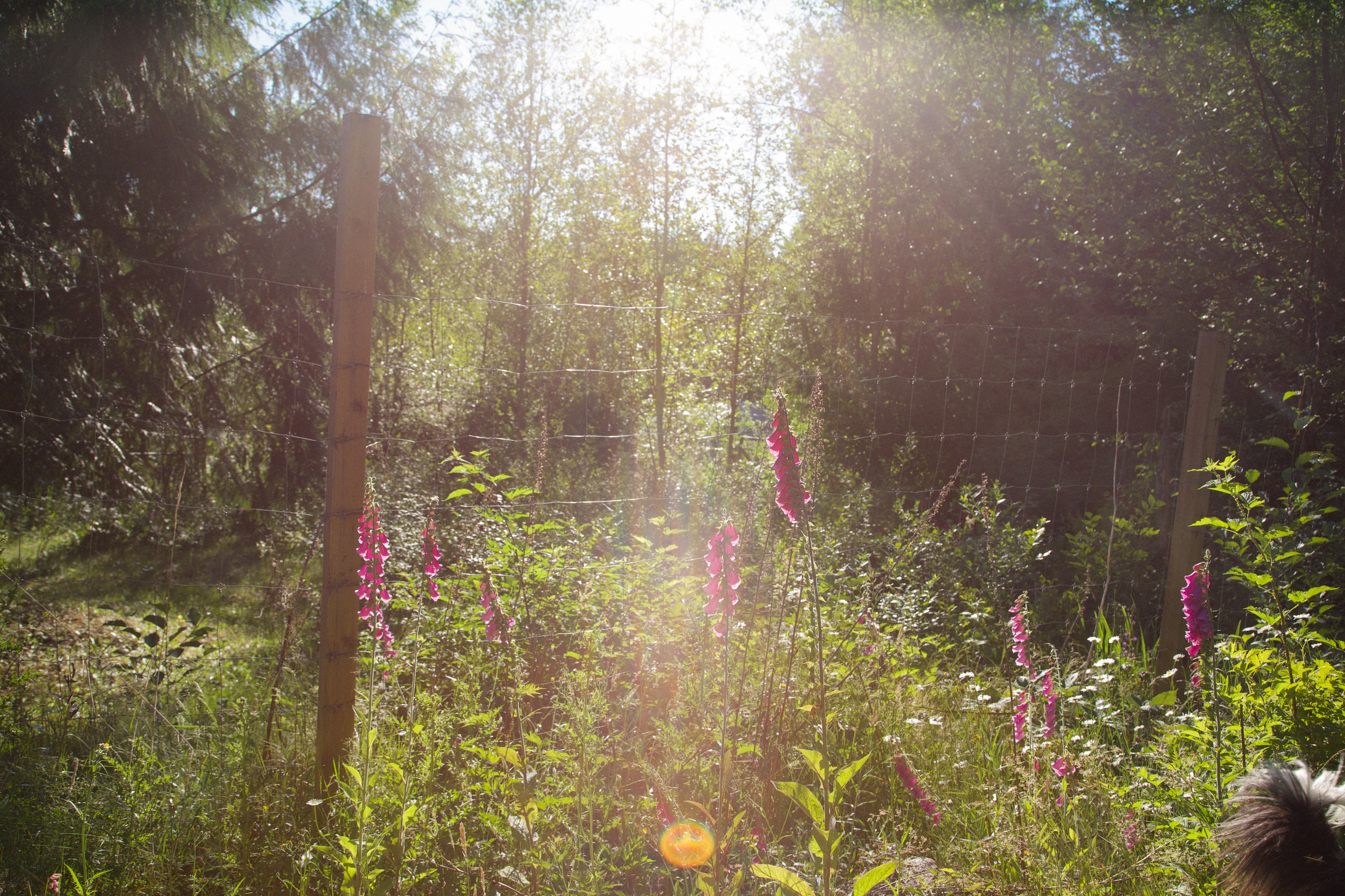 Tiny Secrets Farm & Retreat