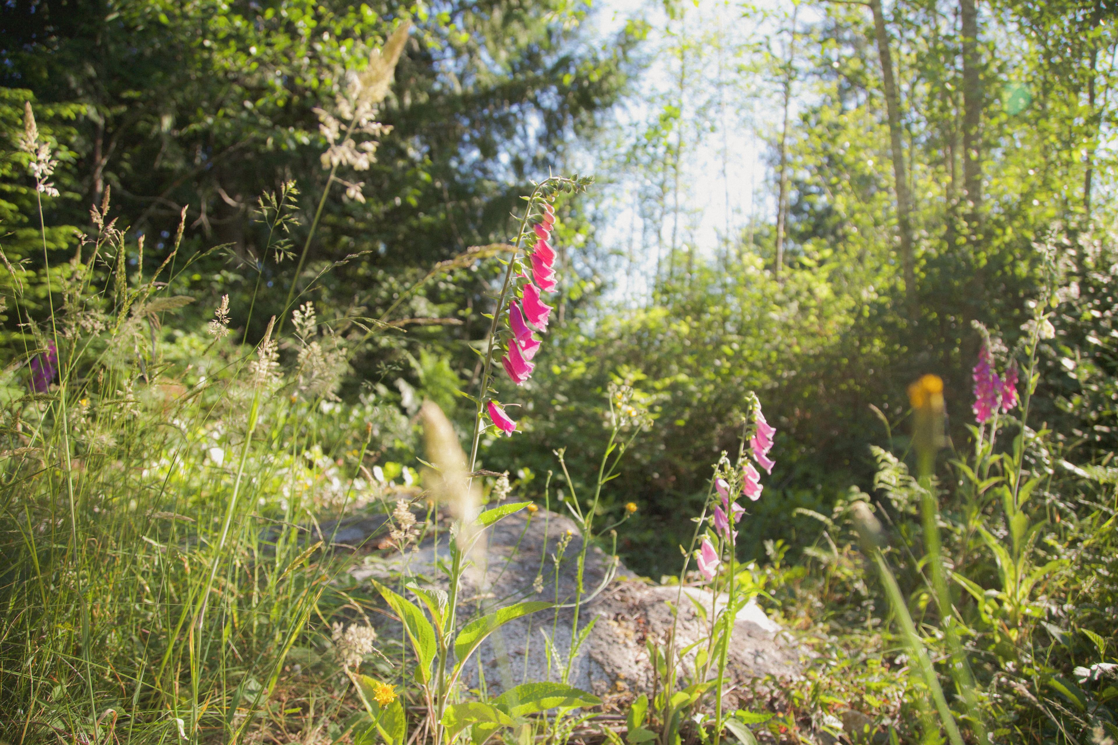Tiny Secrets Farm & Retreat