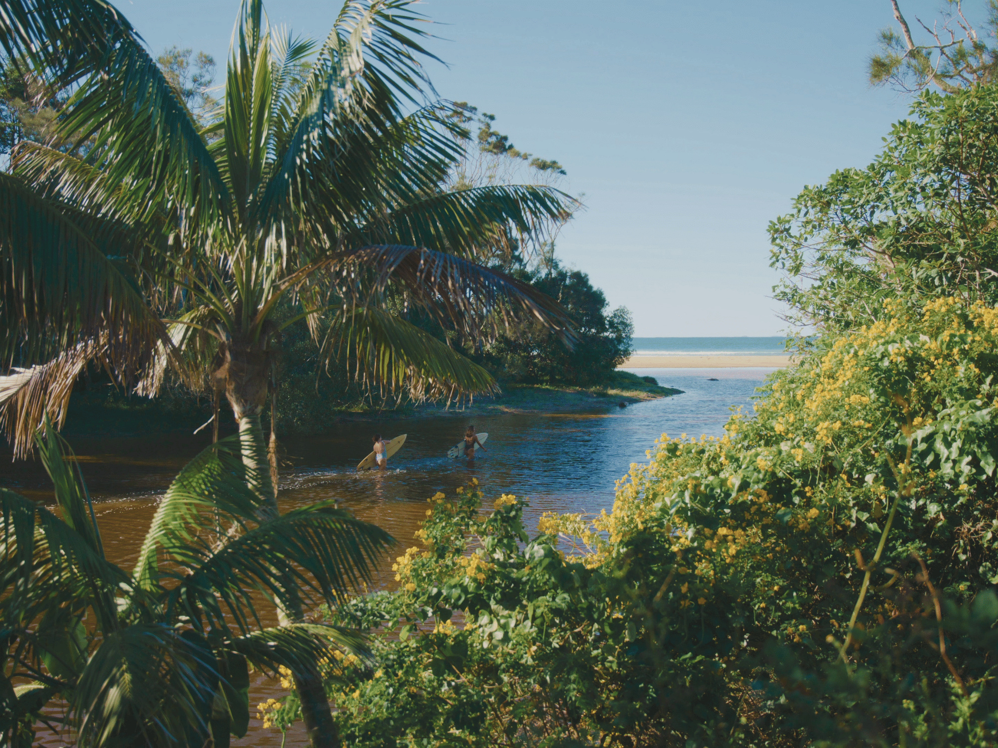 The Beach Arrawarra